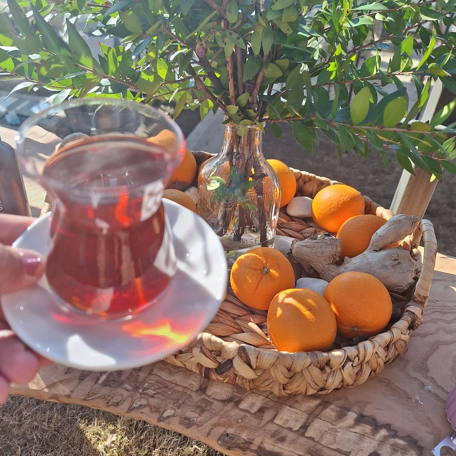 Saye Payamlı