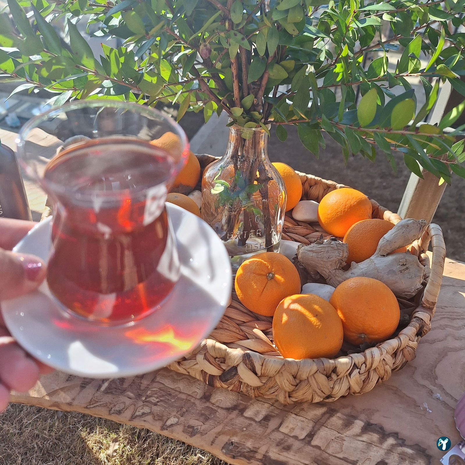 Saye Payamlı