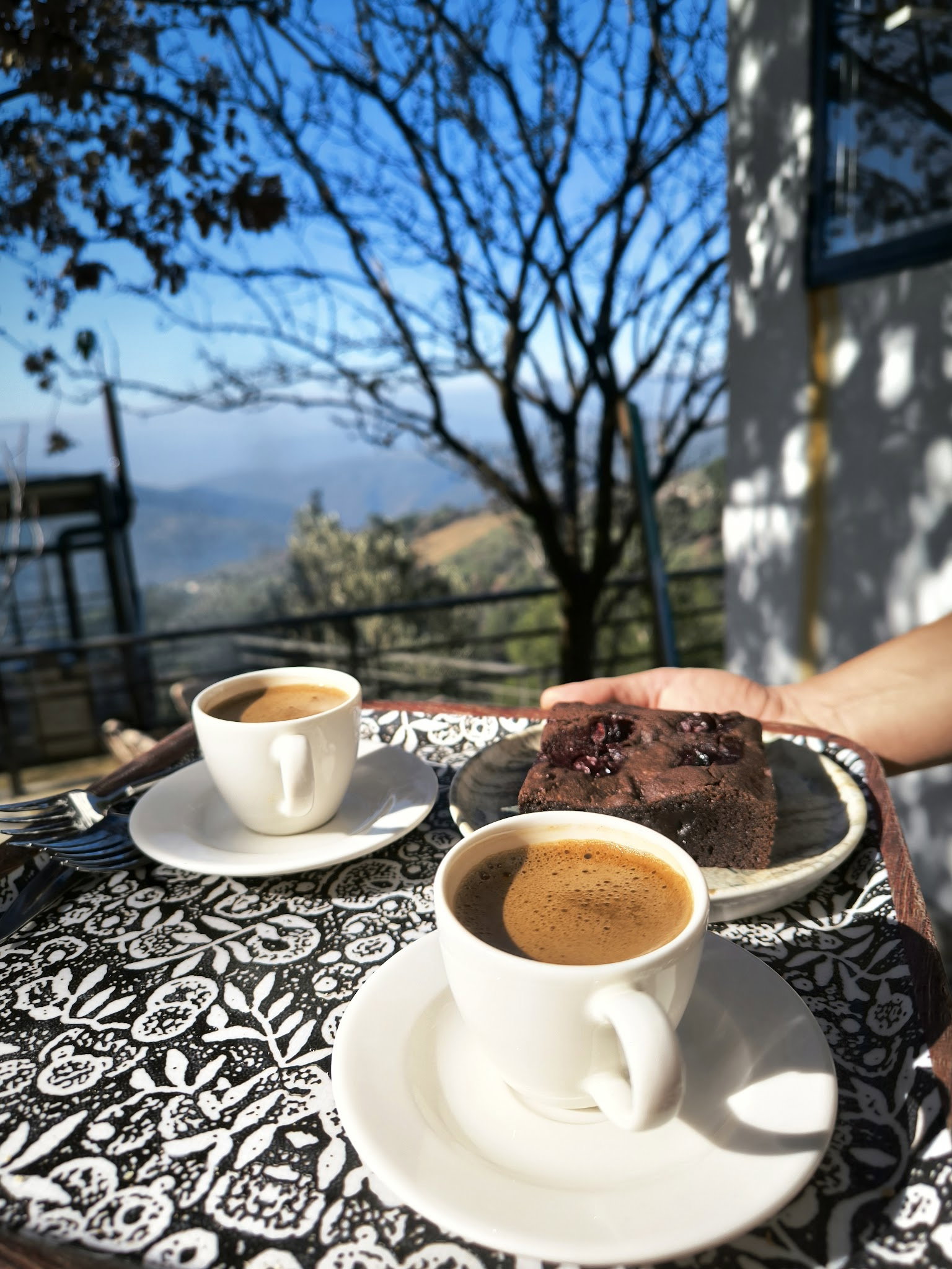 Saye Payamlı