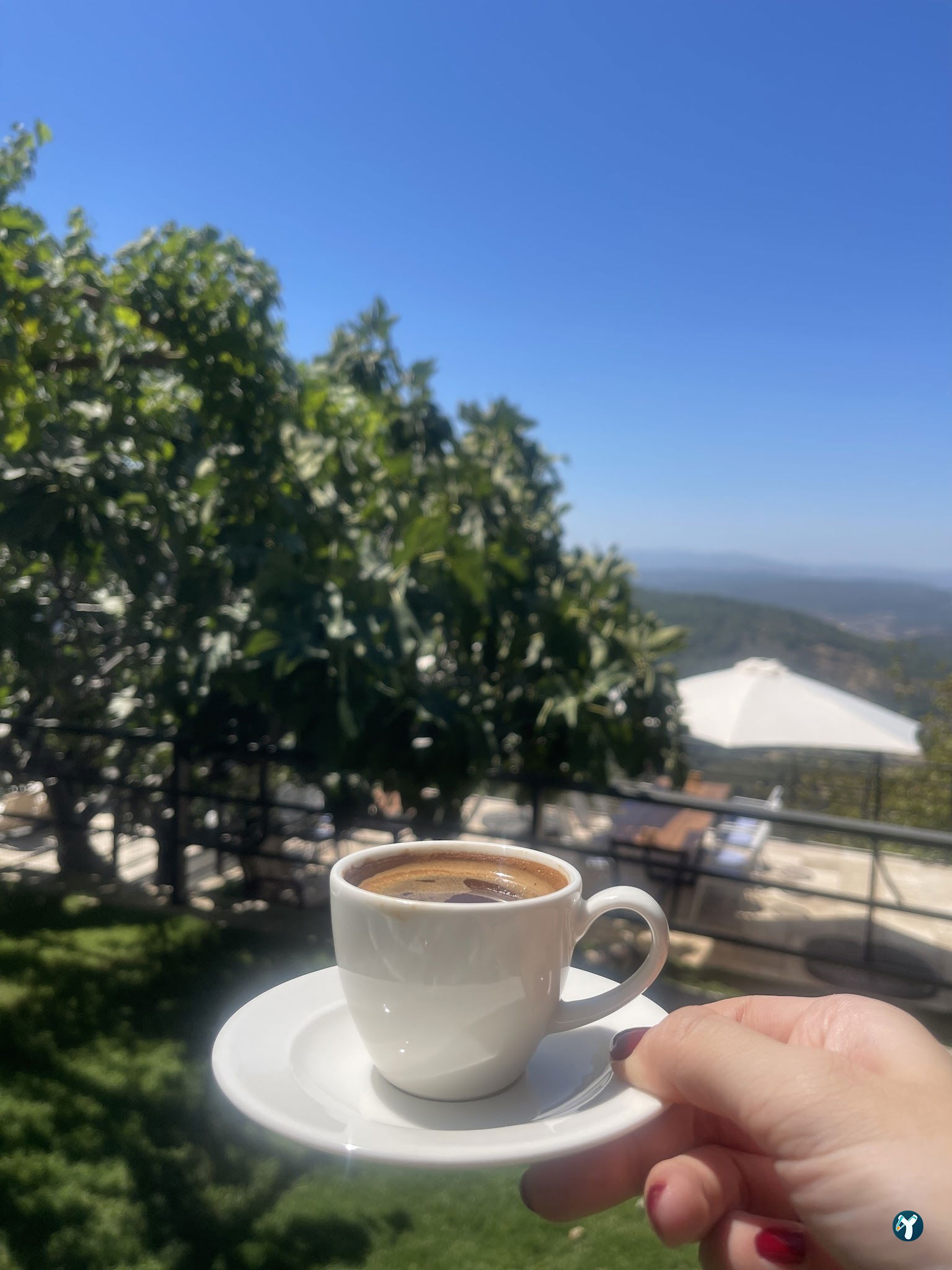 Saye Payamlı