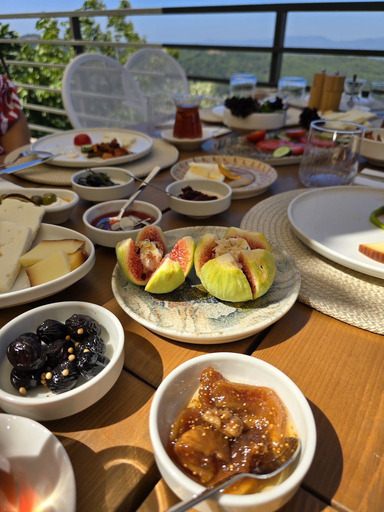 Saye Payamlı