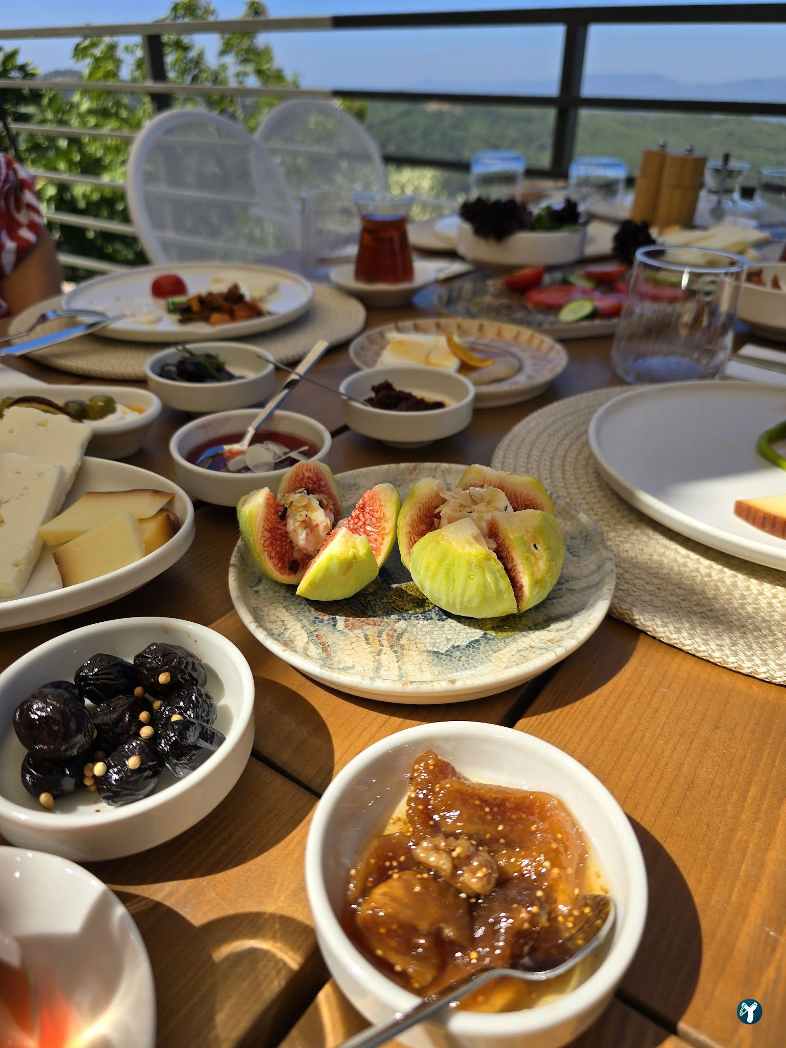 Saye Payamlı
