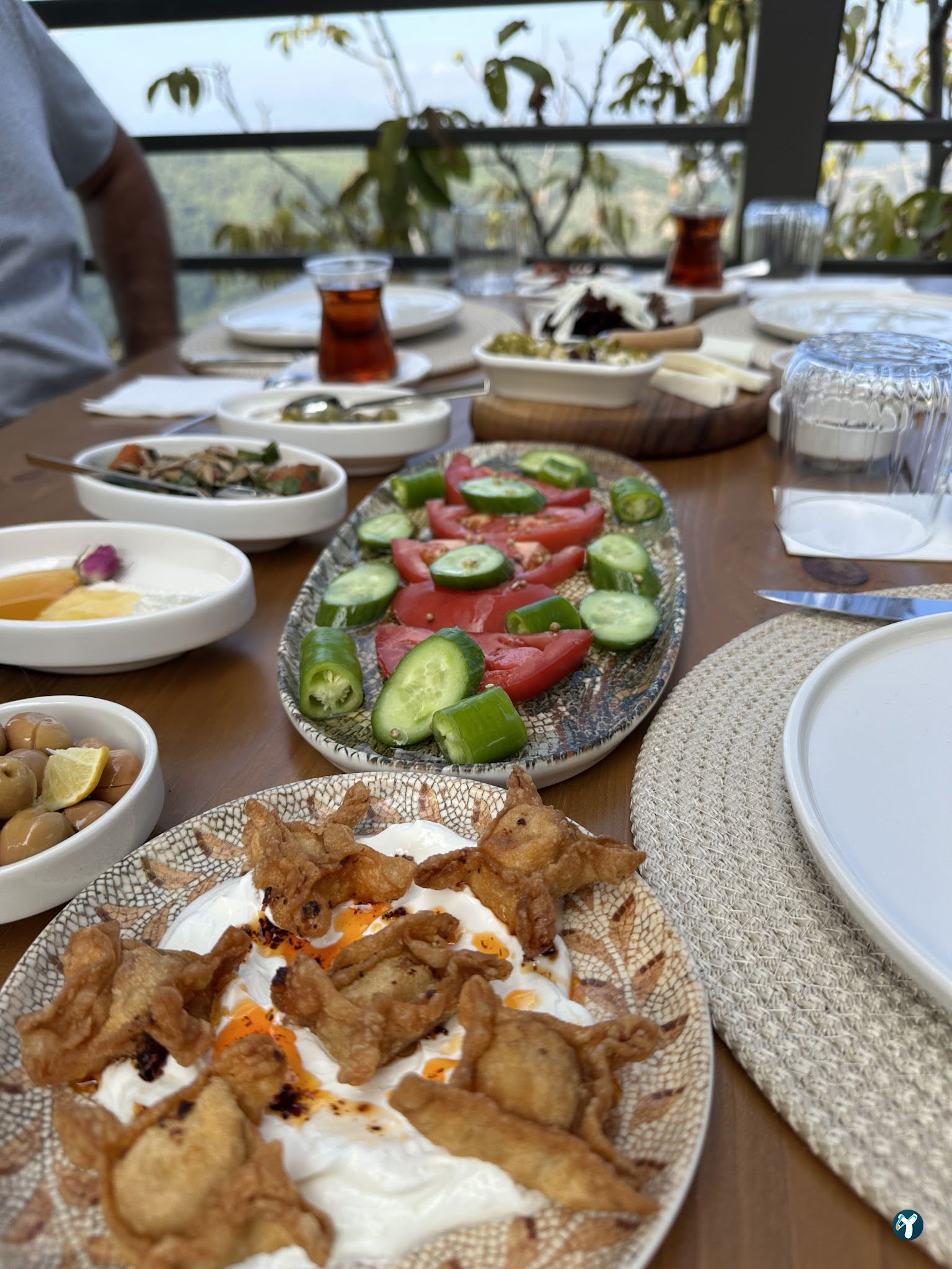 Saye Payamlı