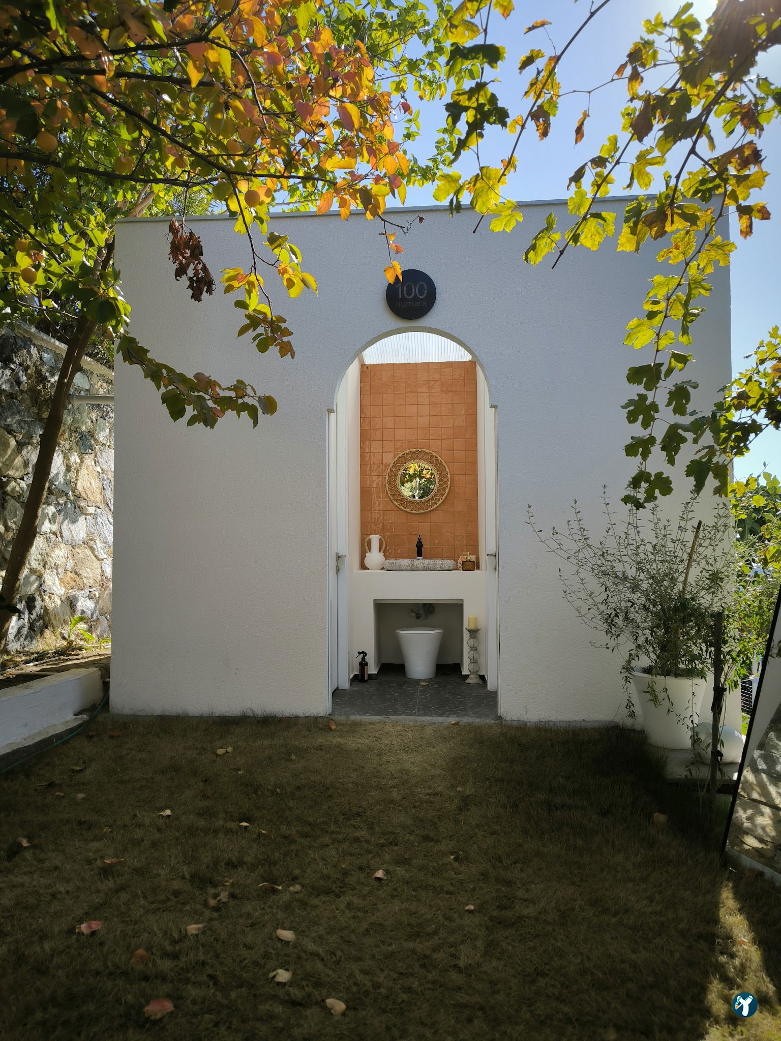 Saye Payamlı