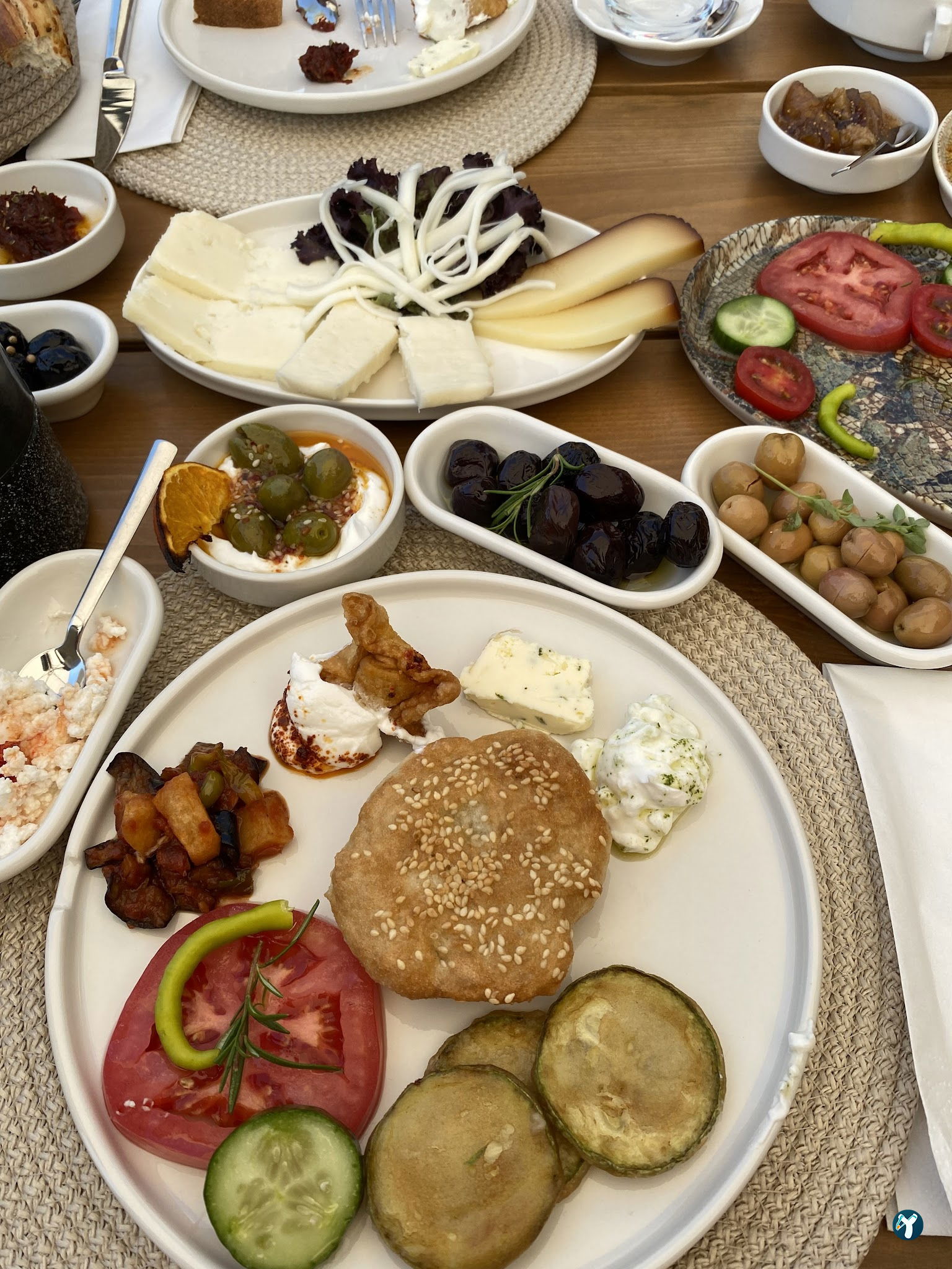 Saye Payamlı