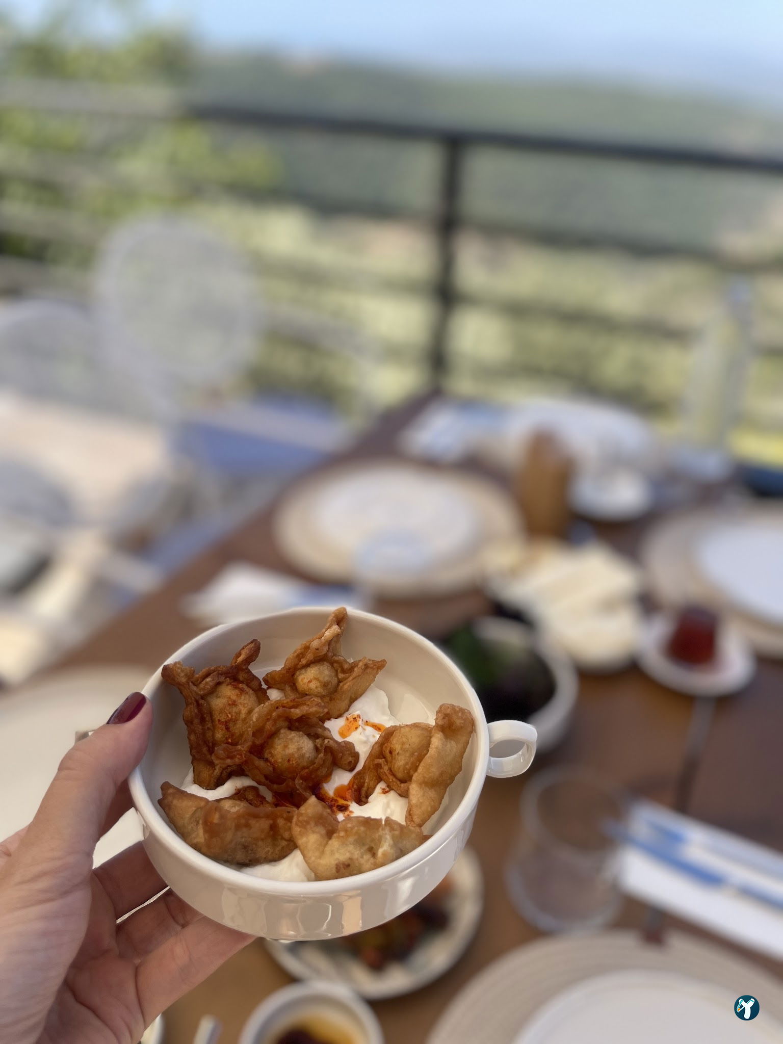 Saye Payamlı