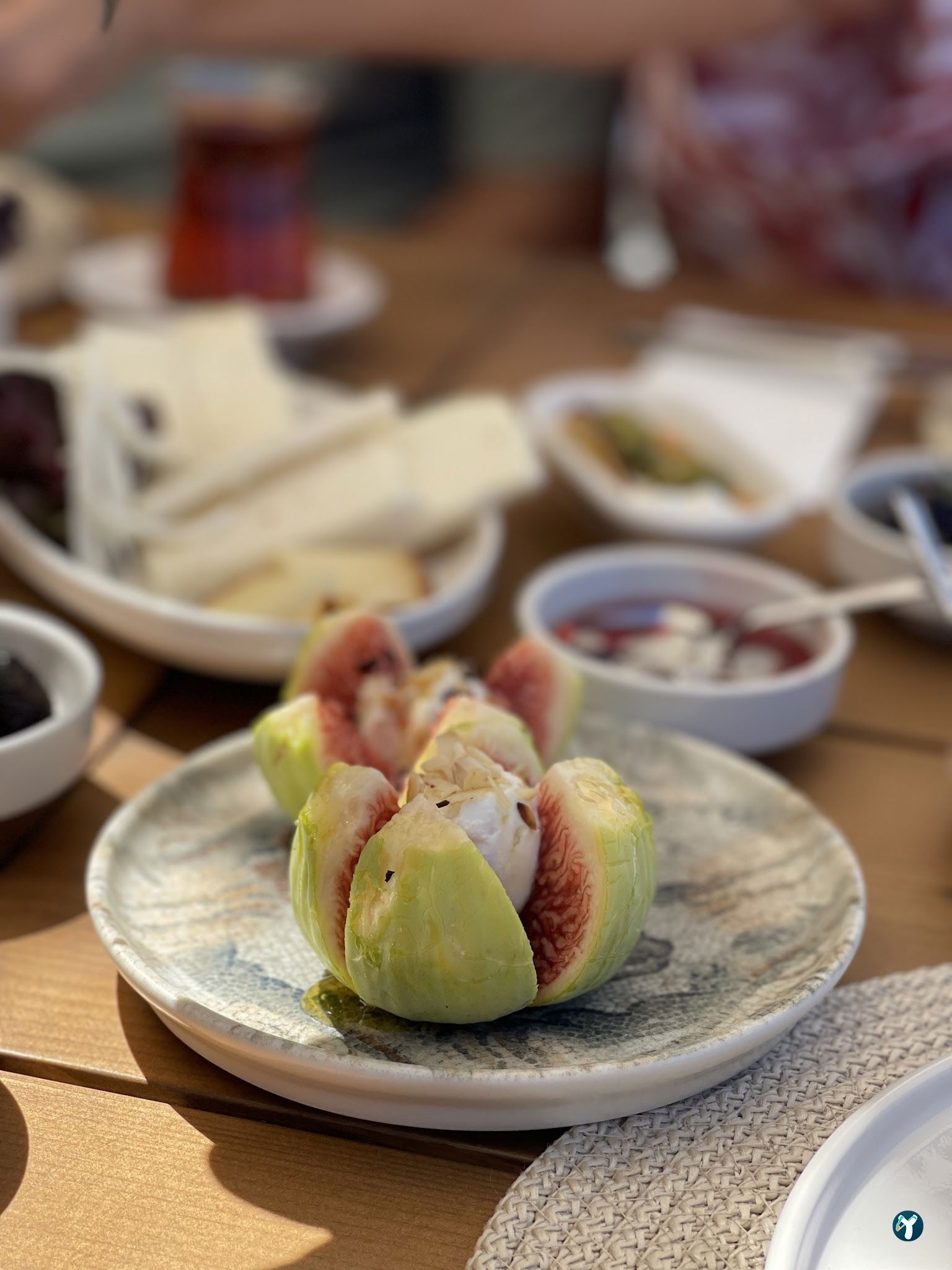 Saye Payamlı