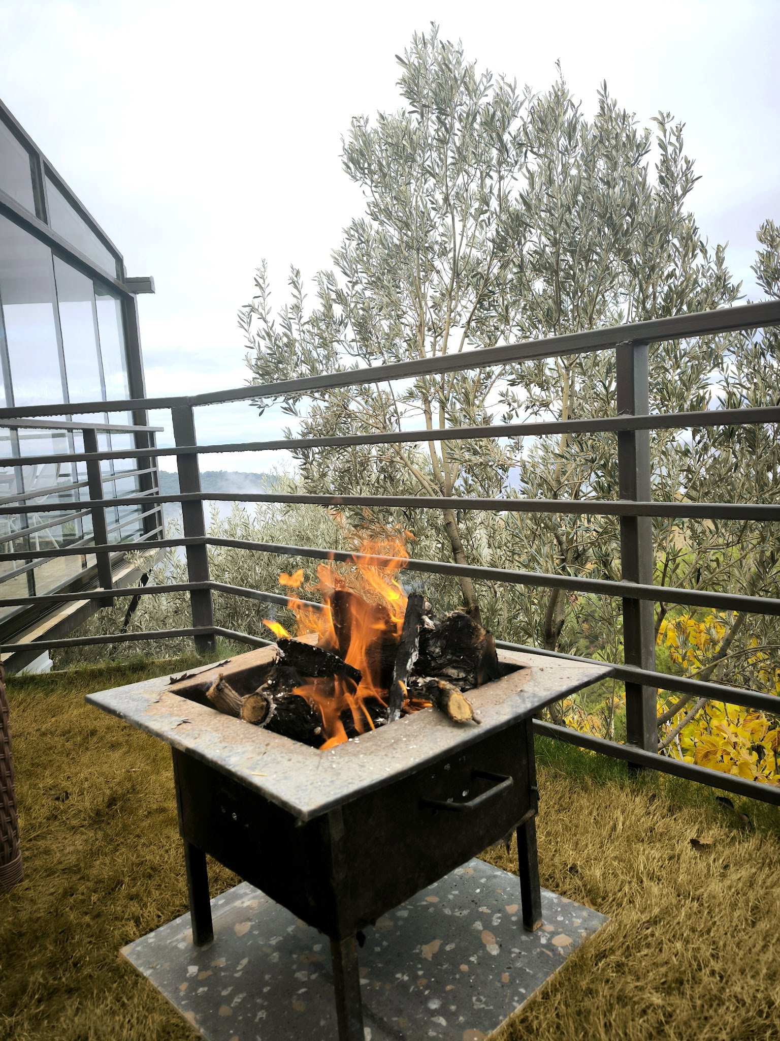 Saye Payamlı