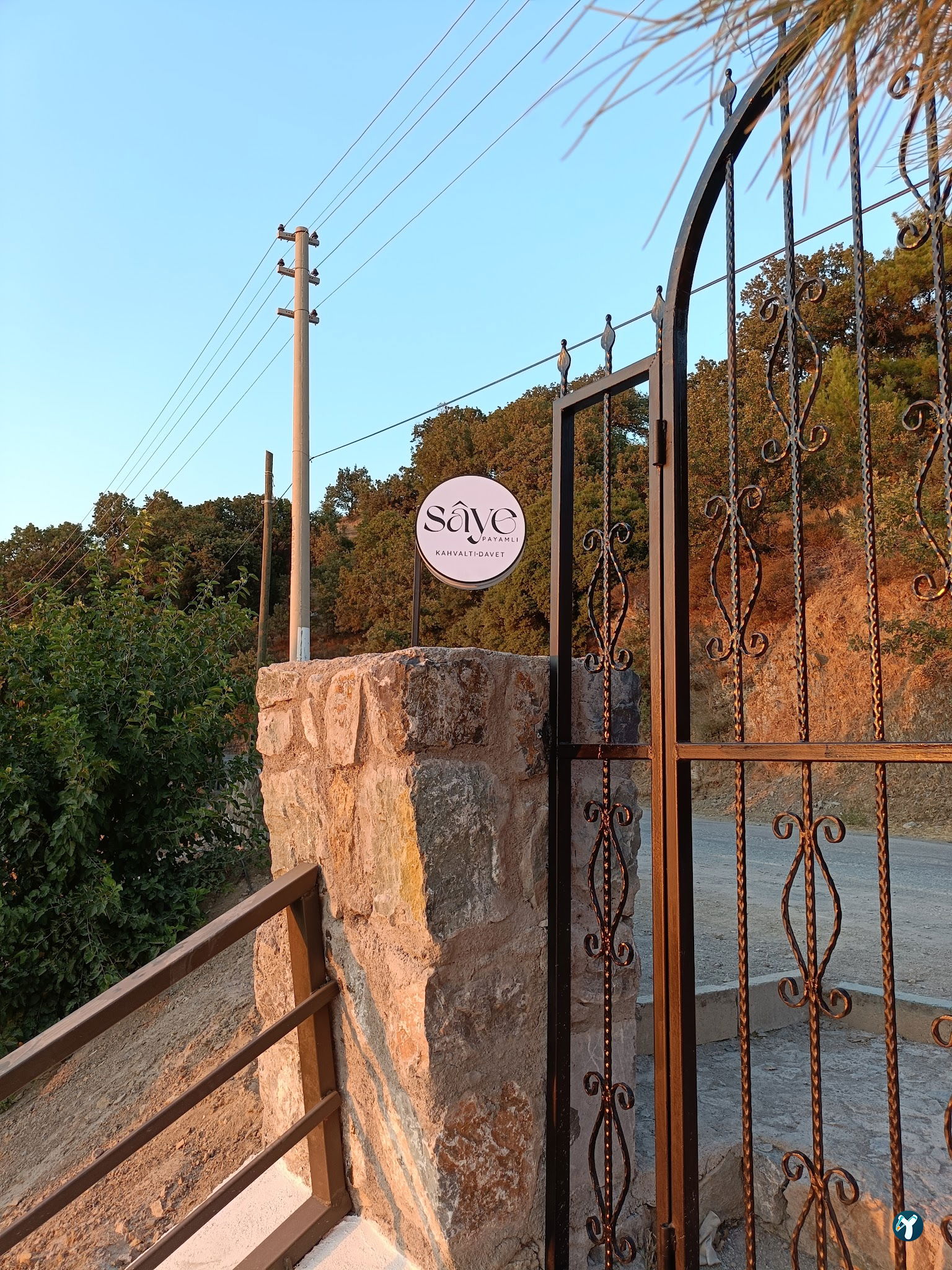 Saye Payamlı