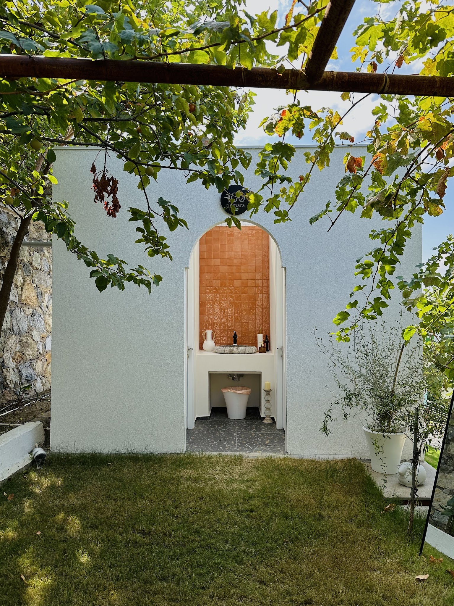 Saye Payamlı