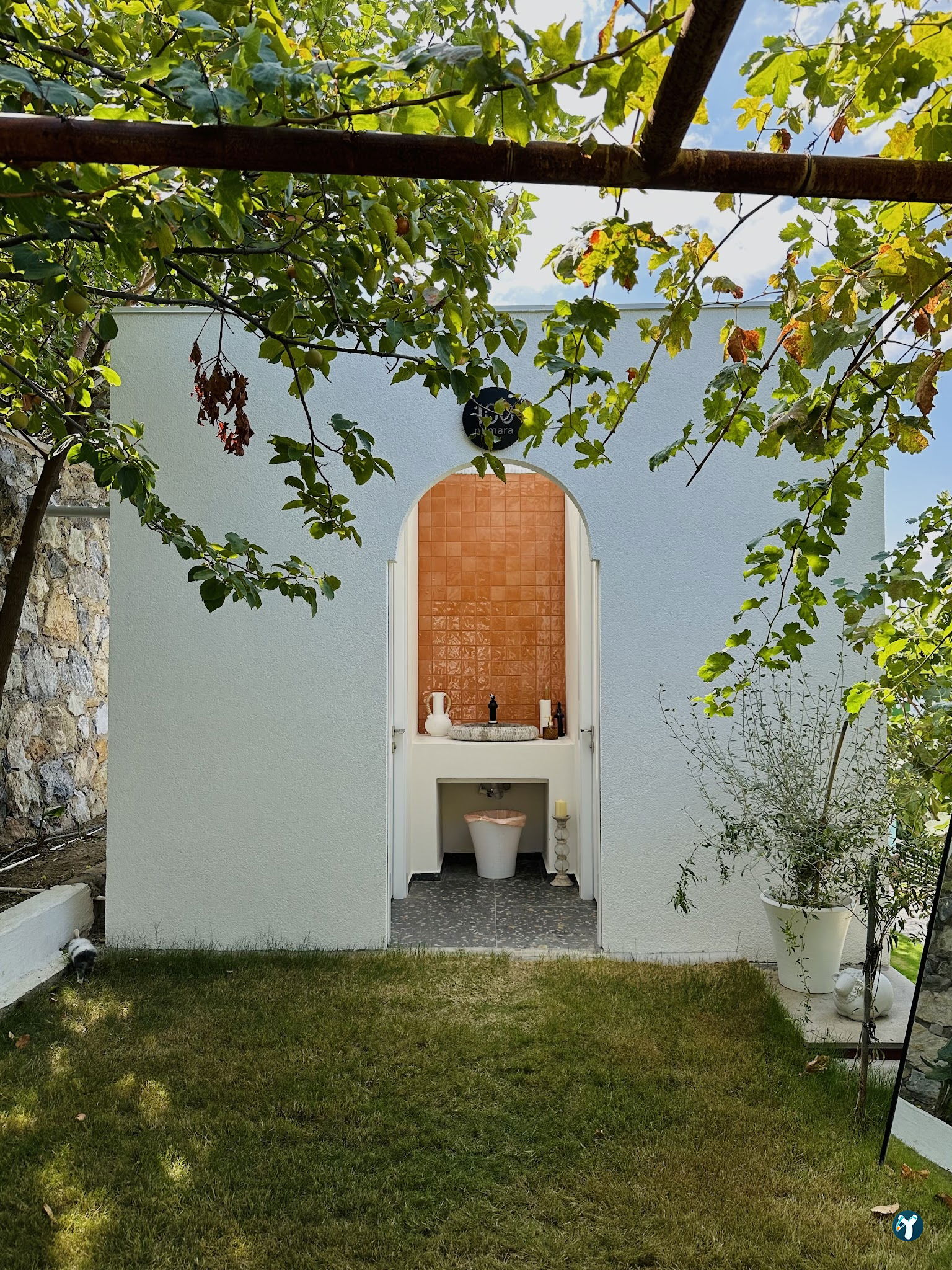 Saye Payamlı
