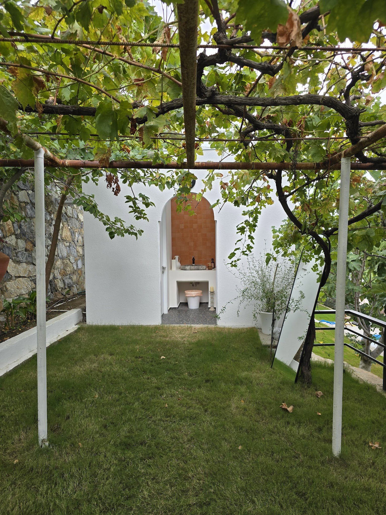 Saye Payamlı