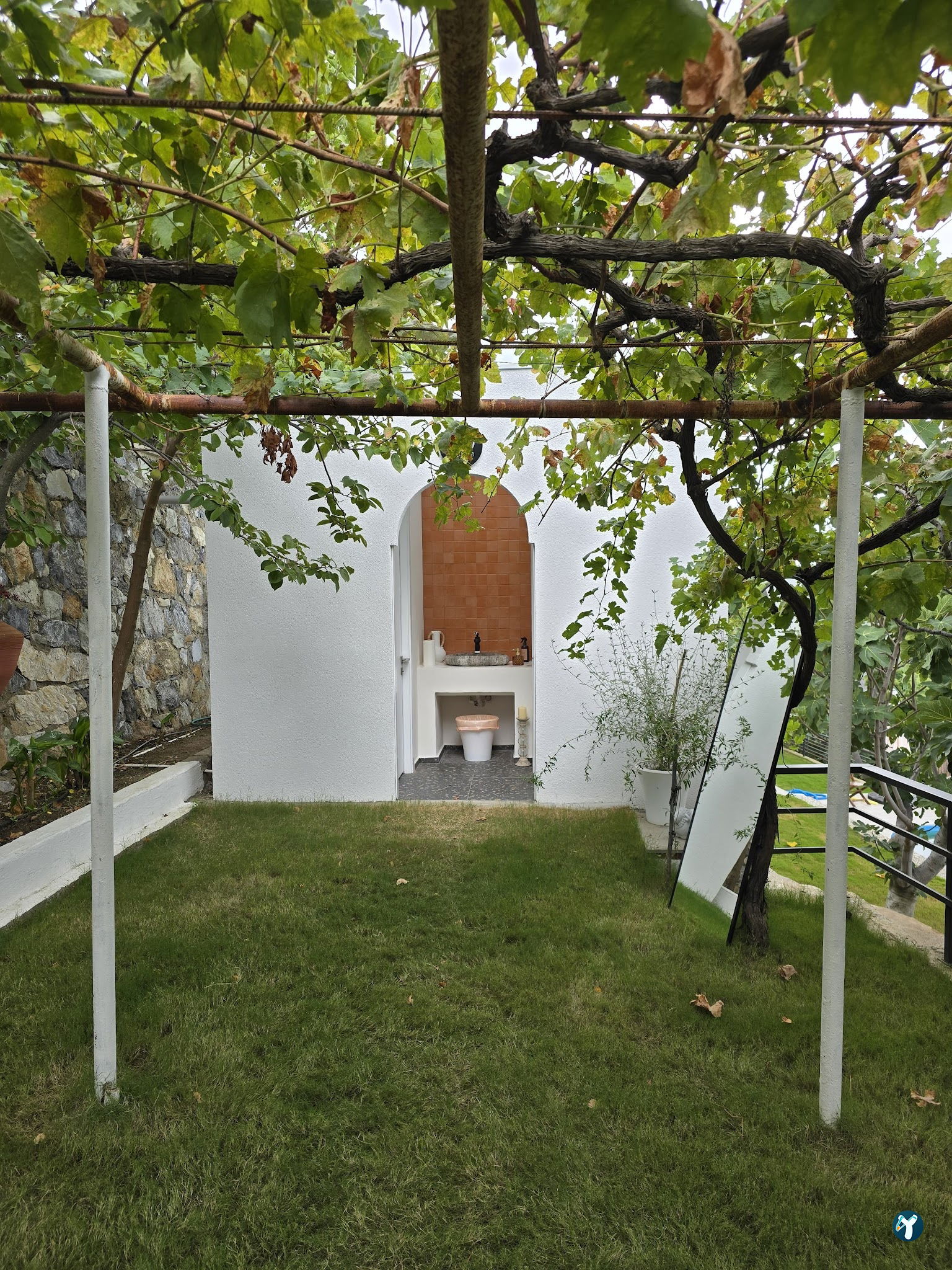 Saye Payamlı
