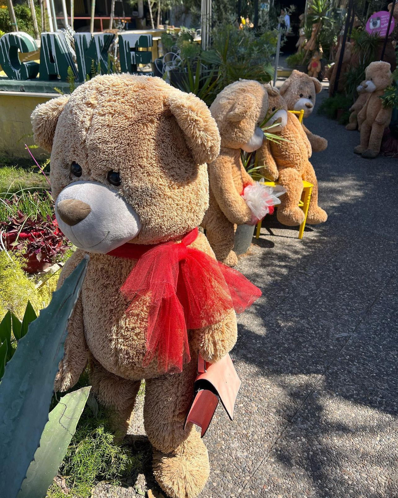 Soul Of Kitchen Restaurant | Alanya