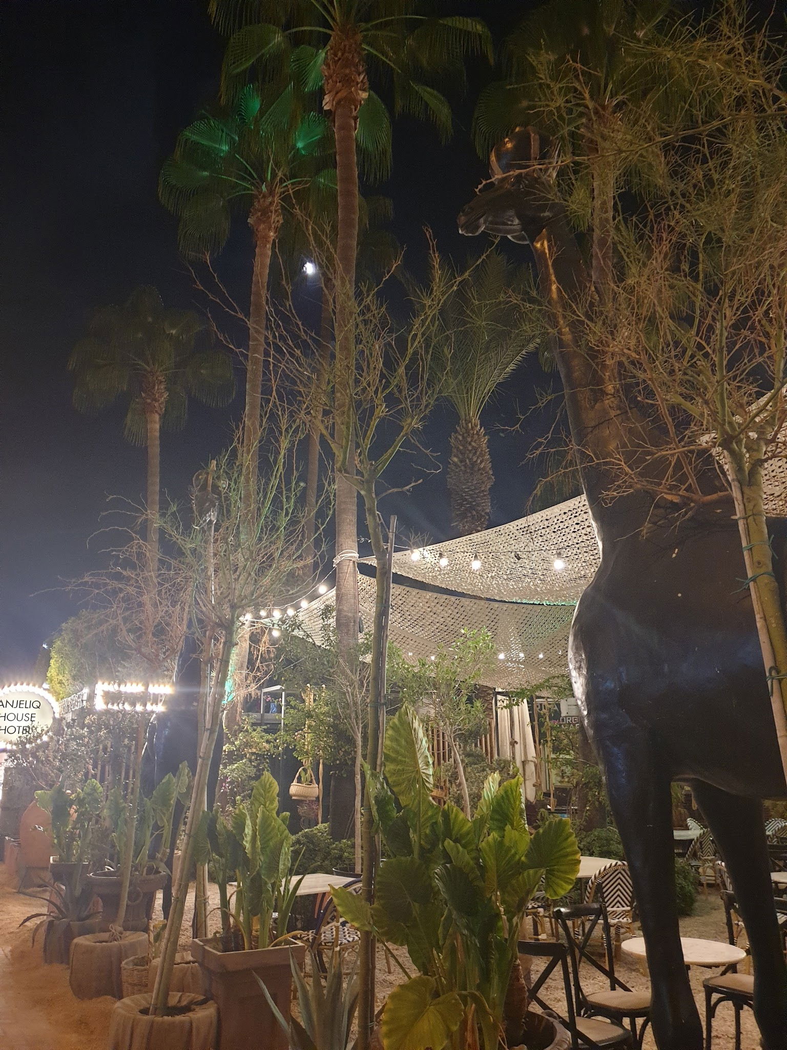 Soul Of Kitchen Restaurant | Alanya