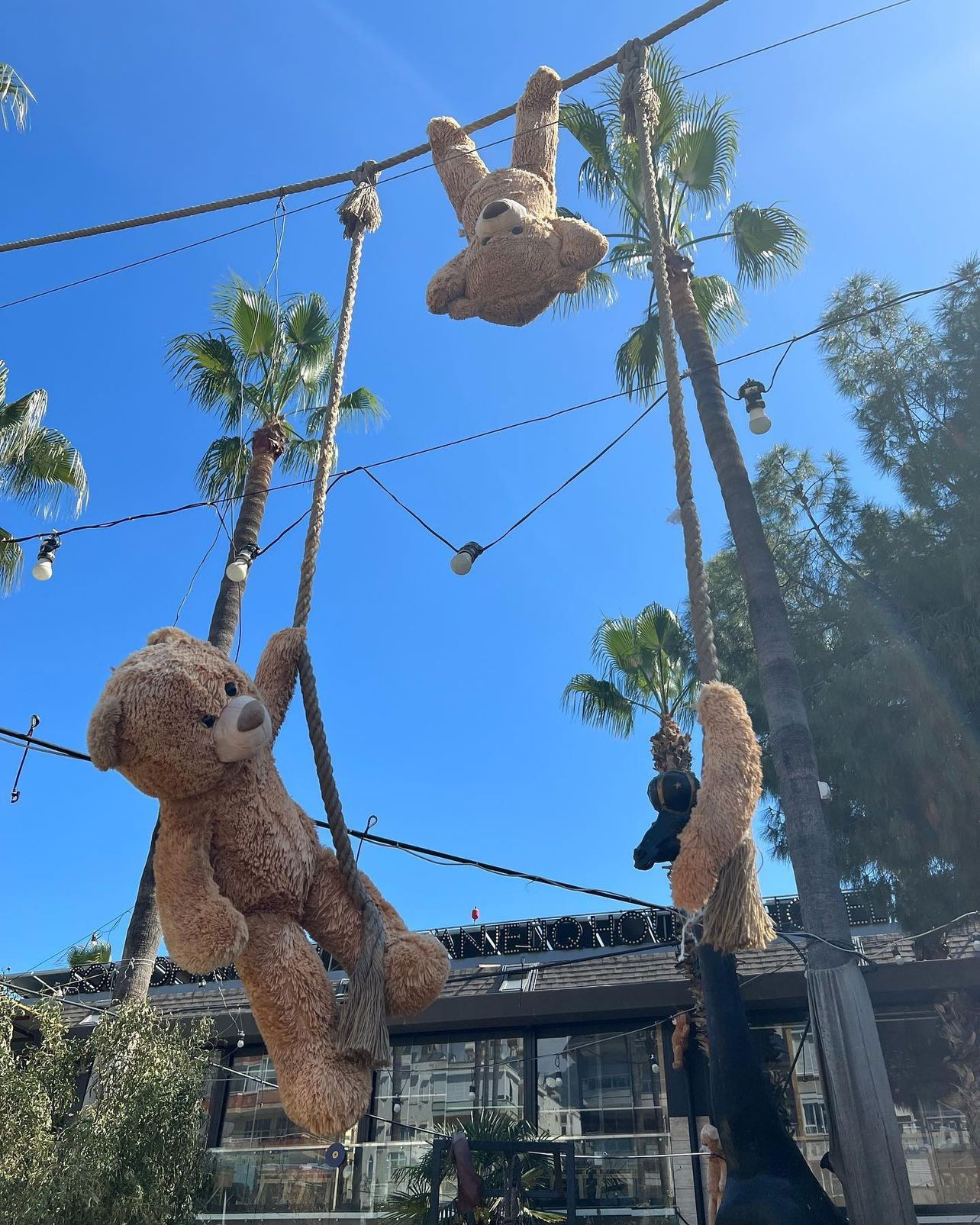 Soul Of Kitchen Restaurant | Alanya