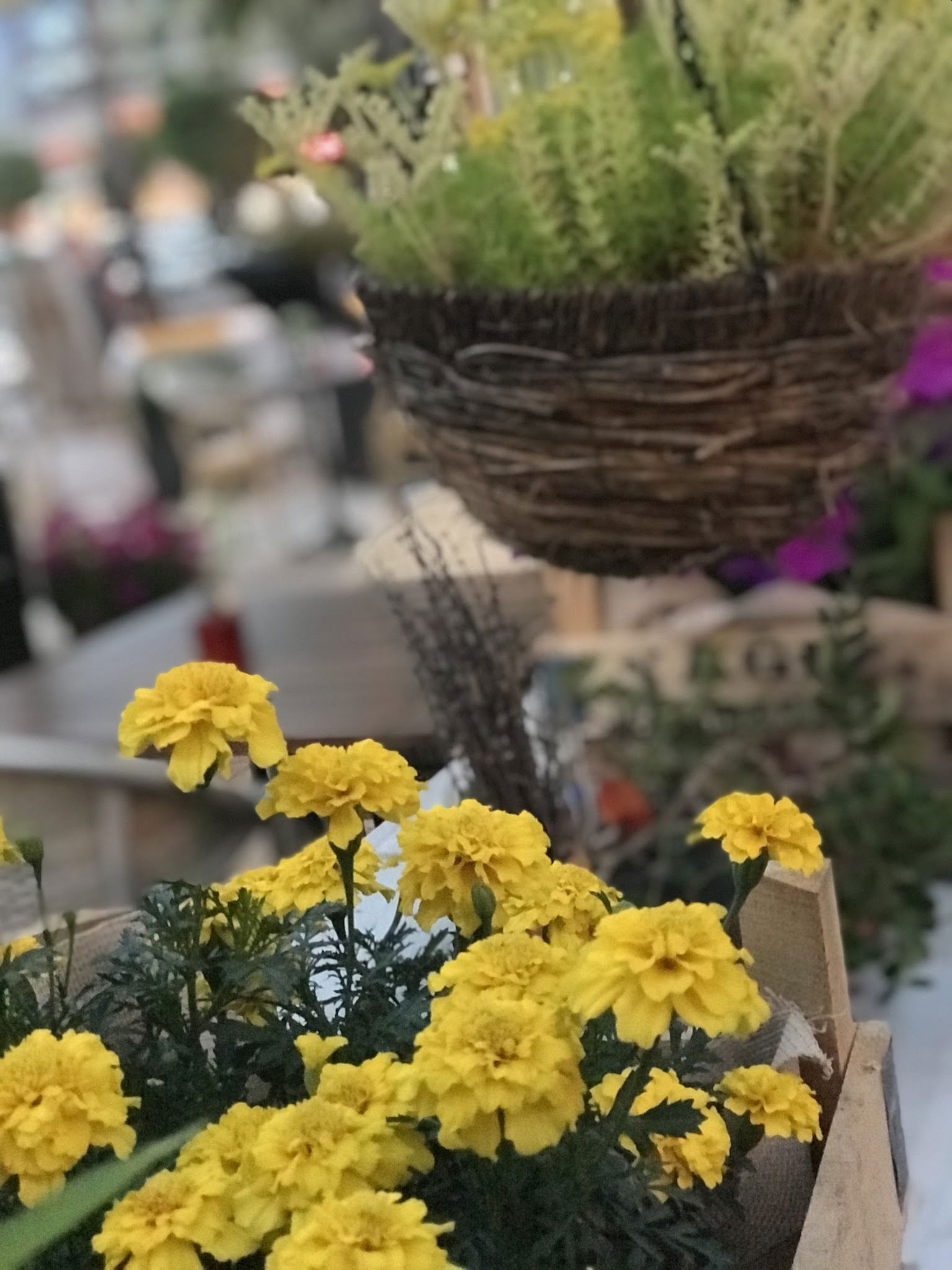 Soul Of Kitchen Restaurant | Alanya