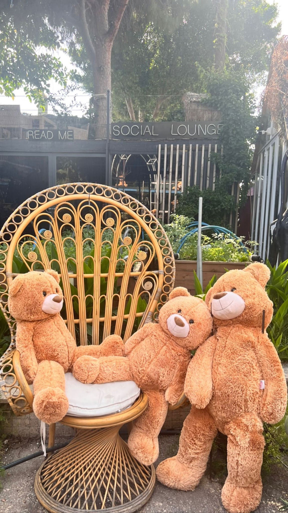 Soul Of Kitchen Restaurant | Alanya