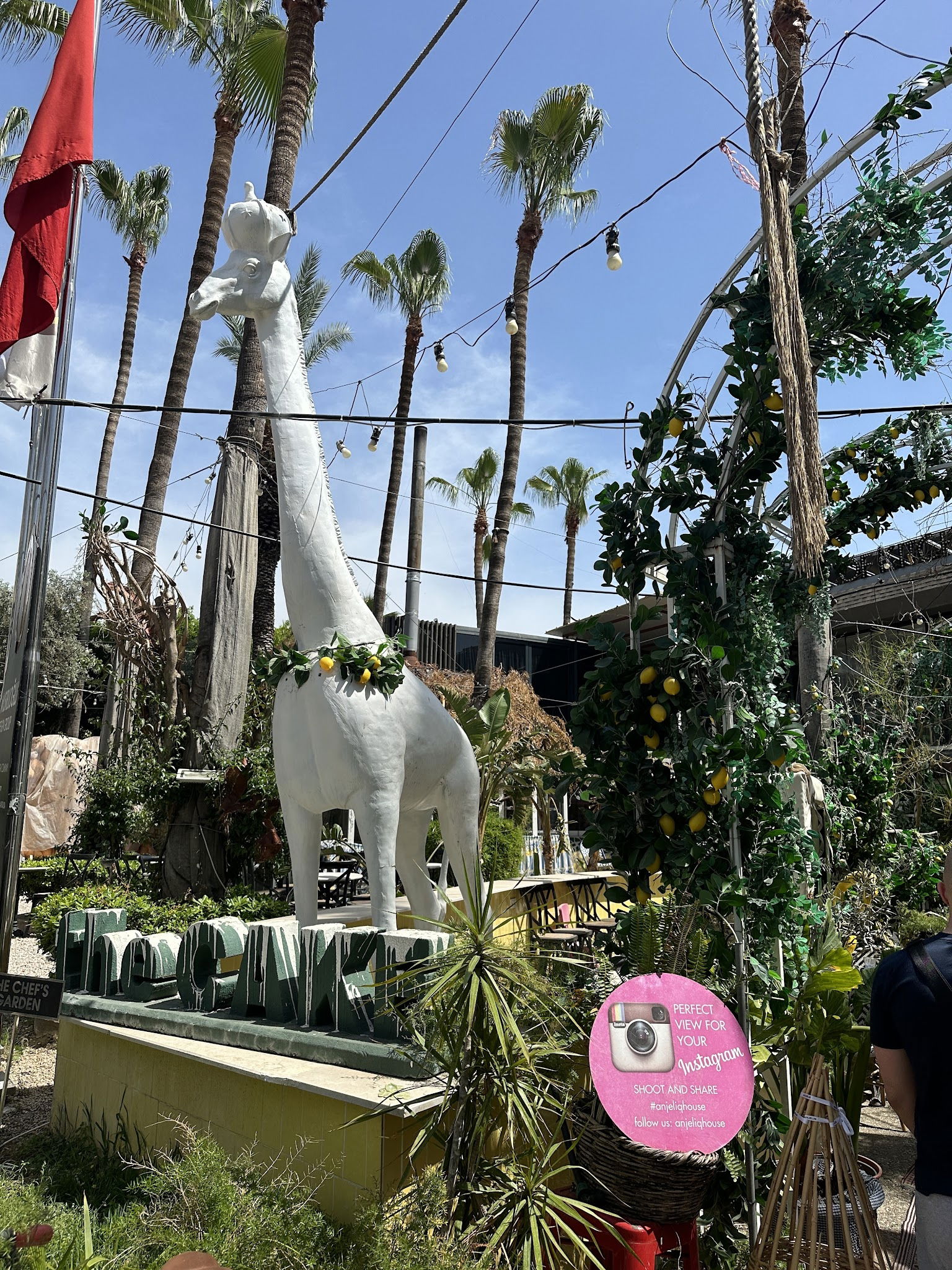 Soul Of Kitchen Restaurant | Alanya