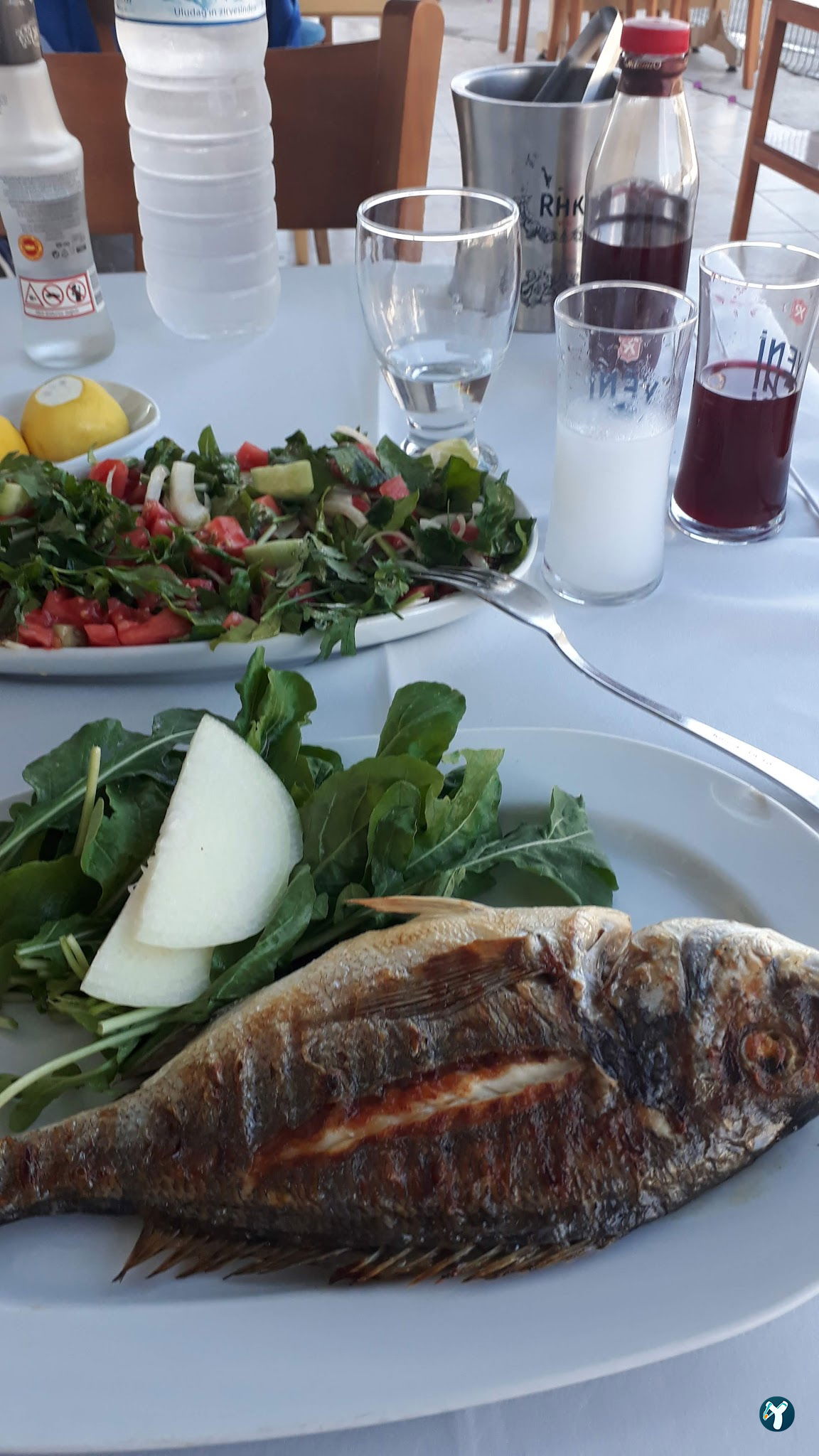 Mavisu Balık Evi