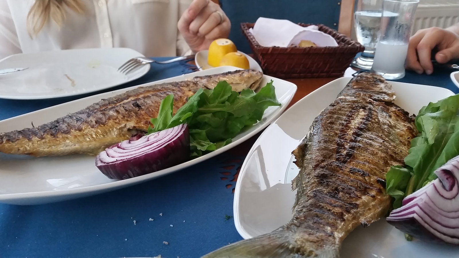 Mavisu Balık Evi