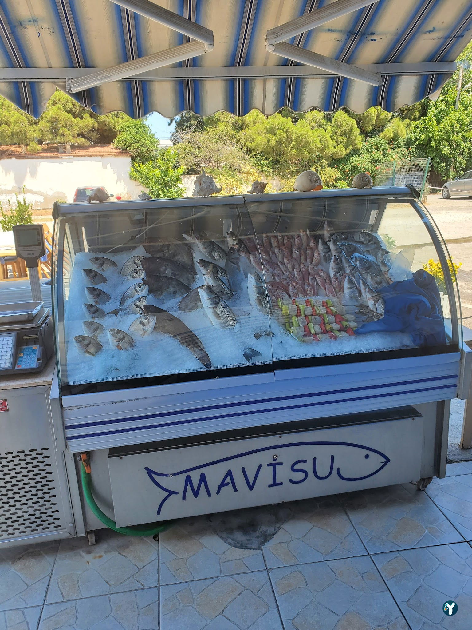 Mavisu Balık Evi