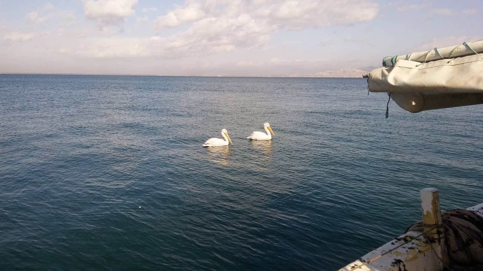 Mavisu Balık Evi