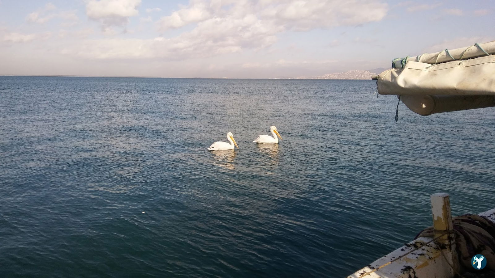 Mavisu Balık Evi