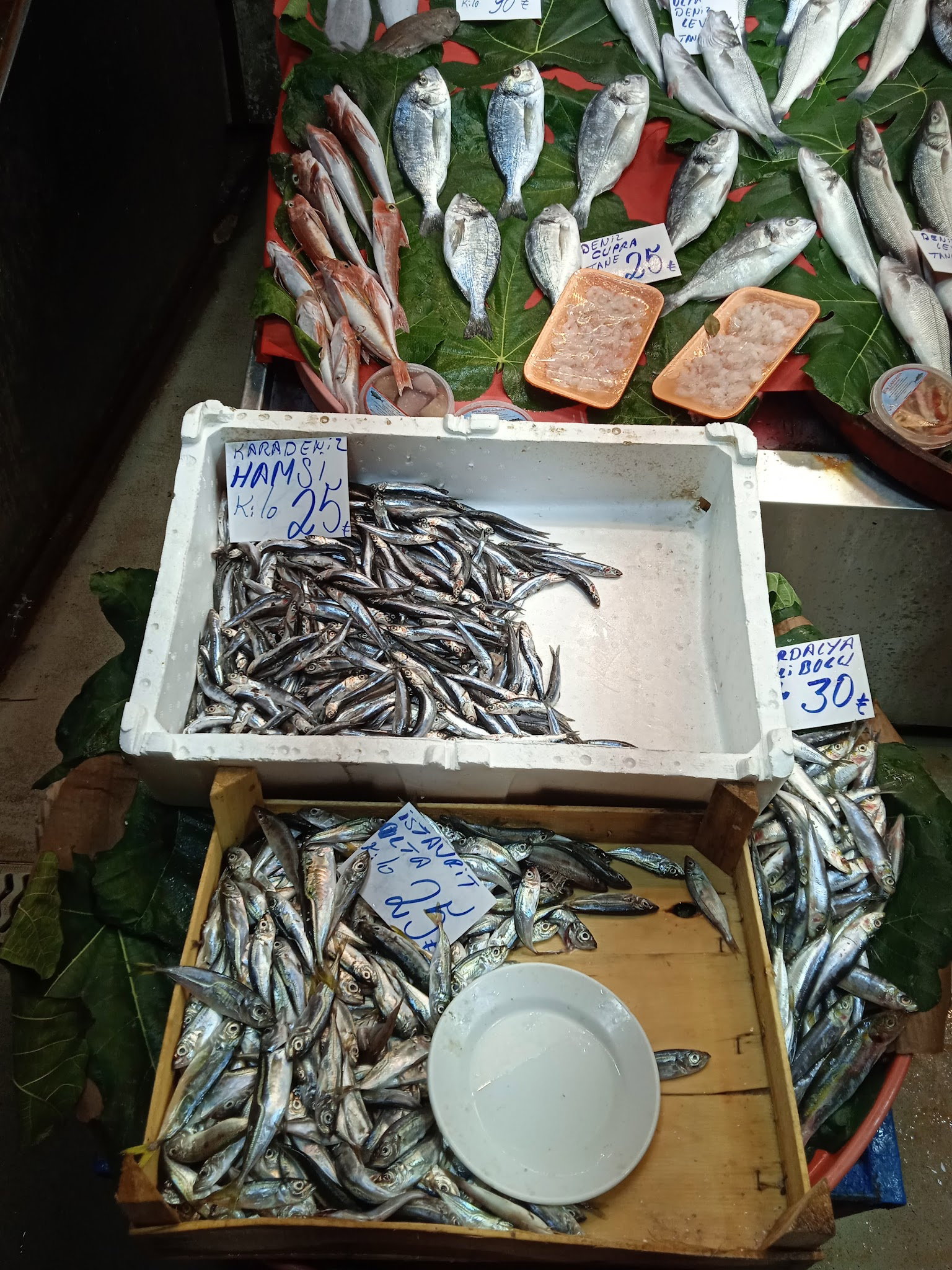 Ahtapot Restaurant