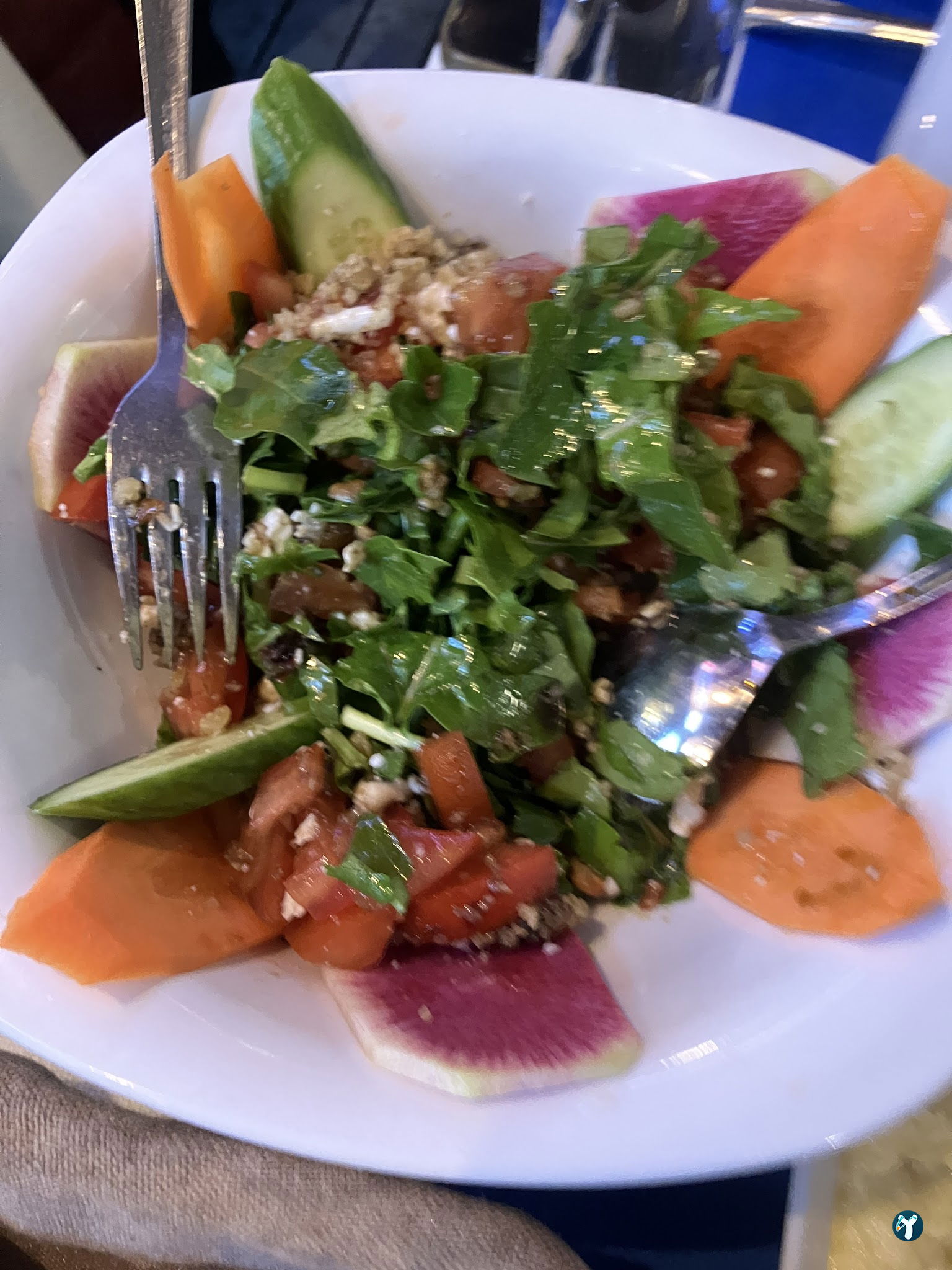 Ahtapot Restaurant
