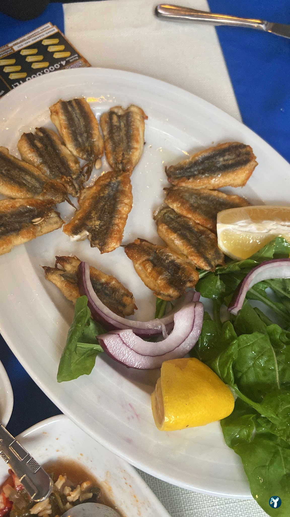 Ahtapot Restaurant