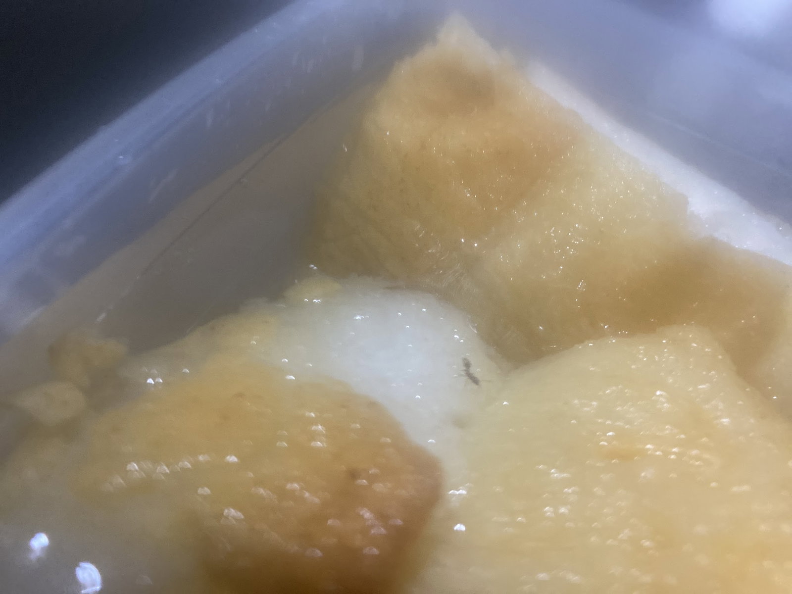 Sarıhan İşkembe Zeytinburnu