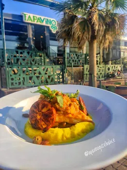 Tapavino Cafe & Restoran Güzelbahçe resimleri