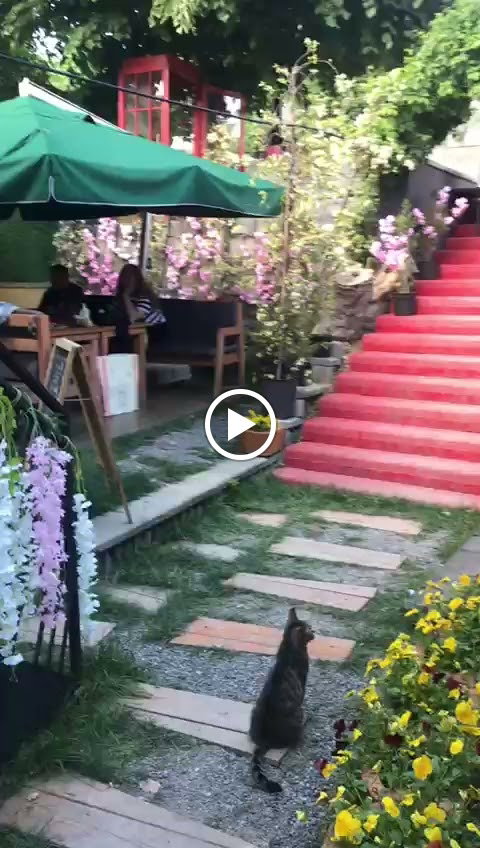 Raven Cafe Kuzguncuk