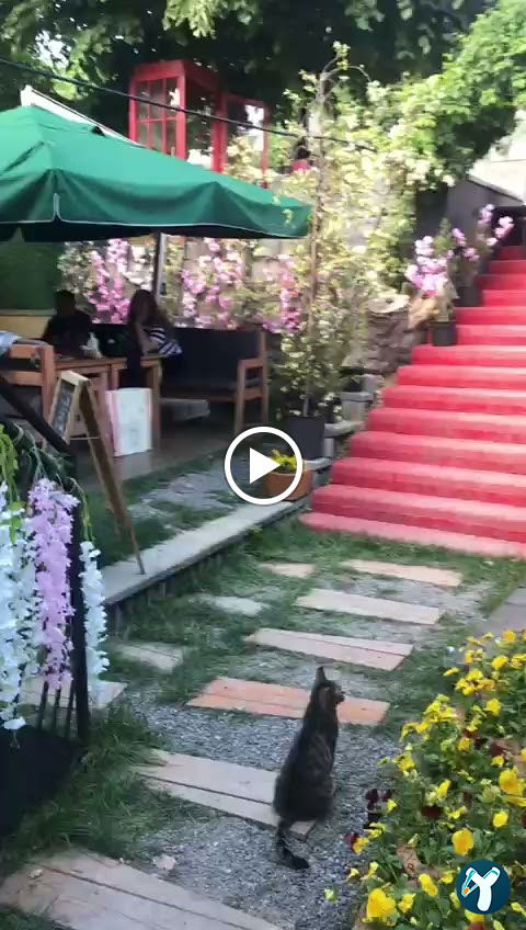 Raven Cafe Kuzguncuk