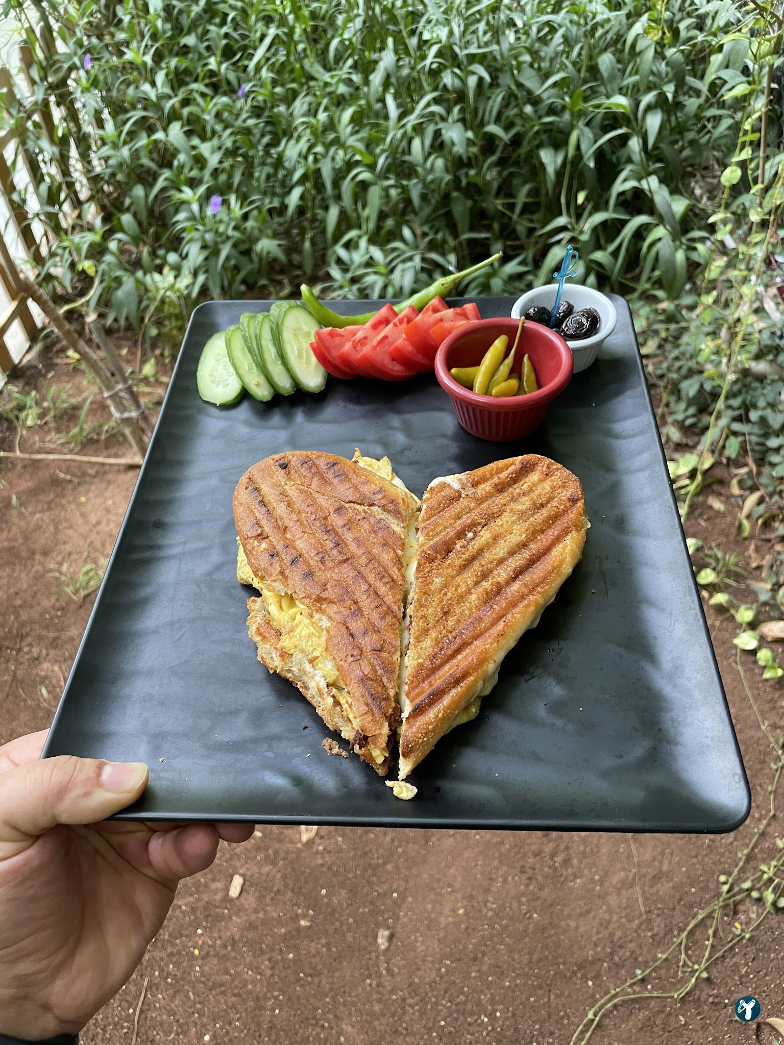 Cafe Ki̇vi̇