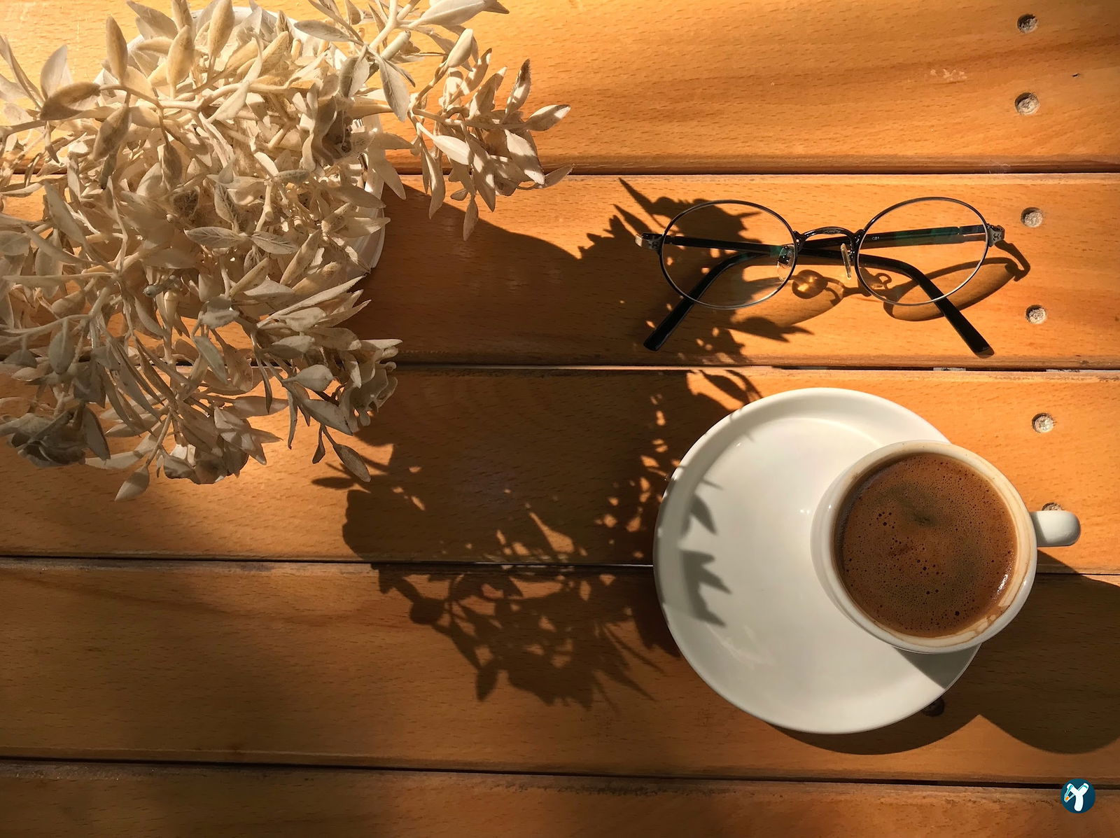 Cafe Ki̇vi̇