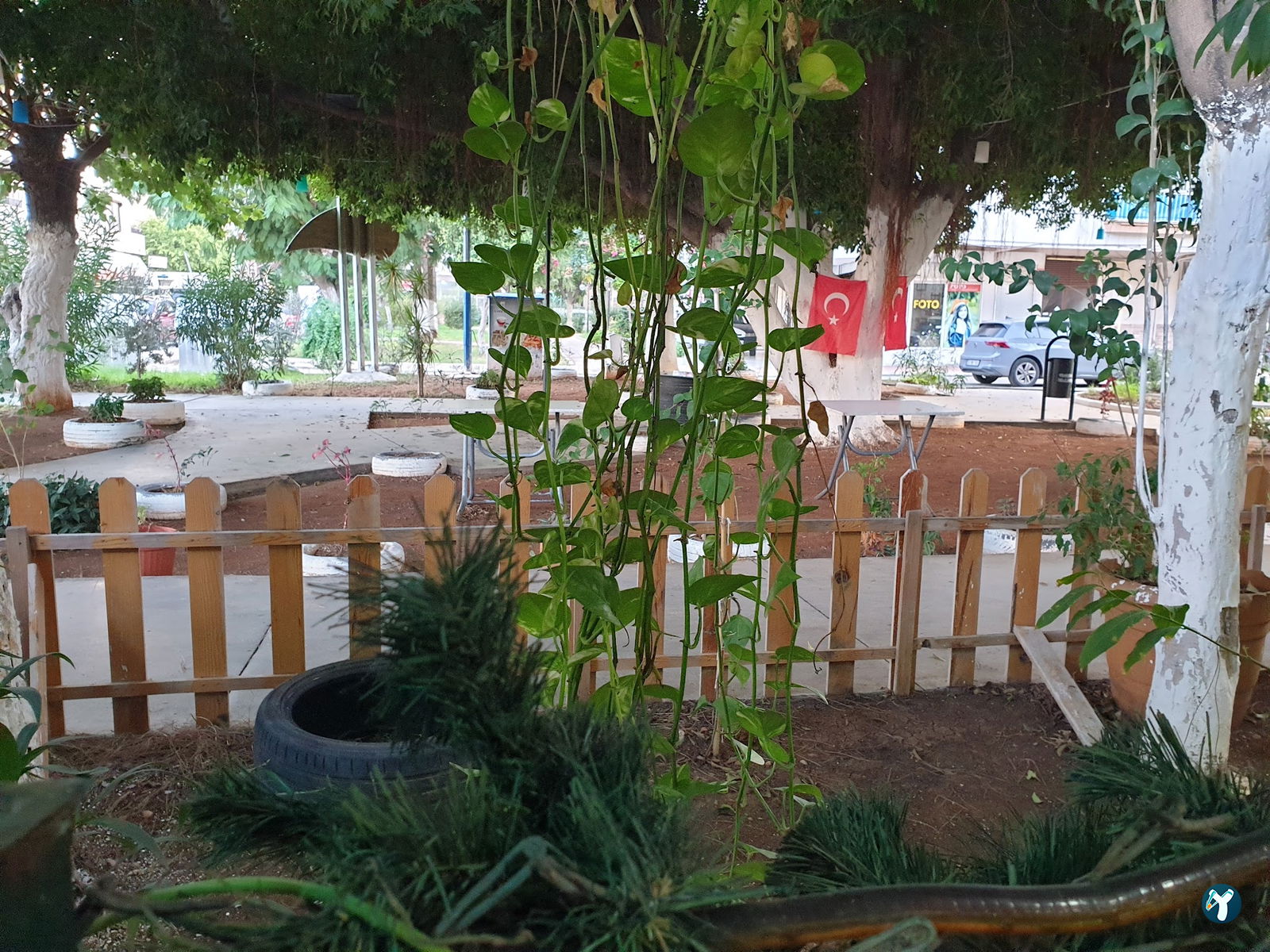 Cafe Ki̇vi̇