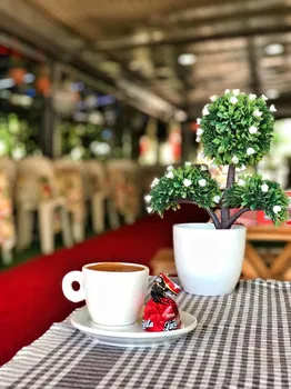Cafe Ki̇vi̇ resimleri