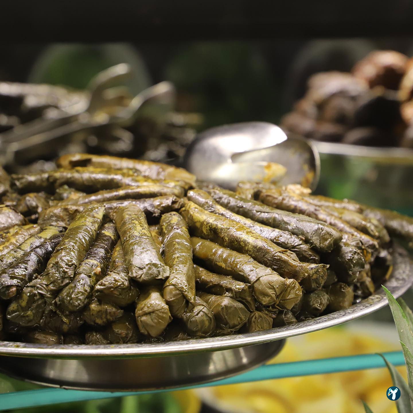 Cumhuriyet Lezzet Dünyası