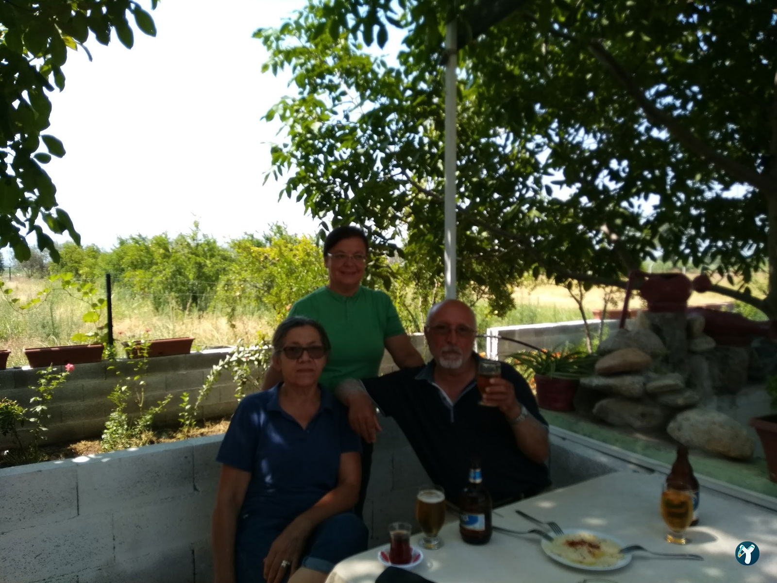 Fesleğen Kır Bahçesi Işıklı Aydin