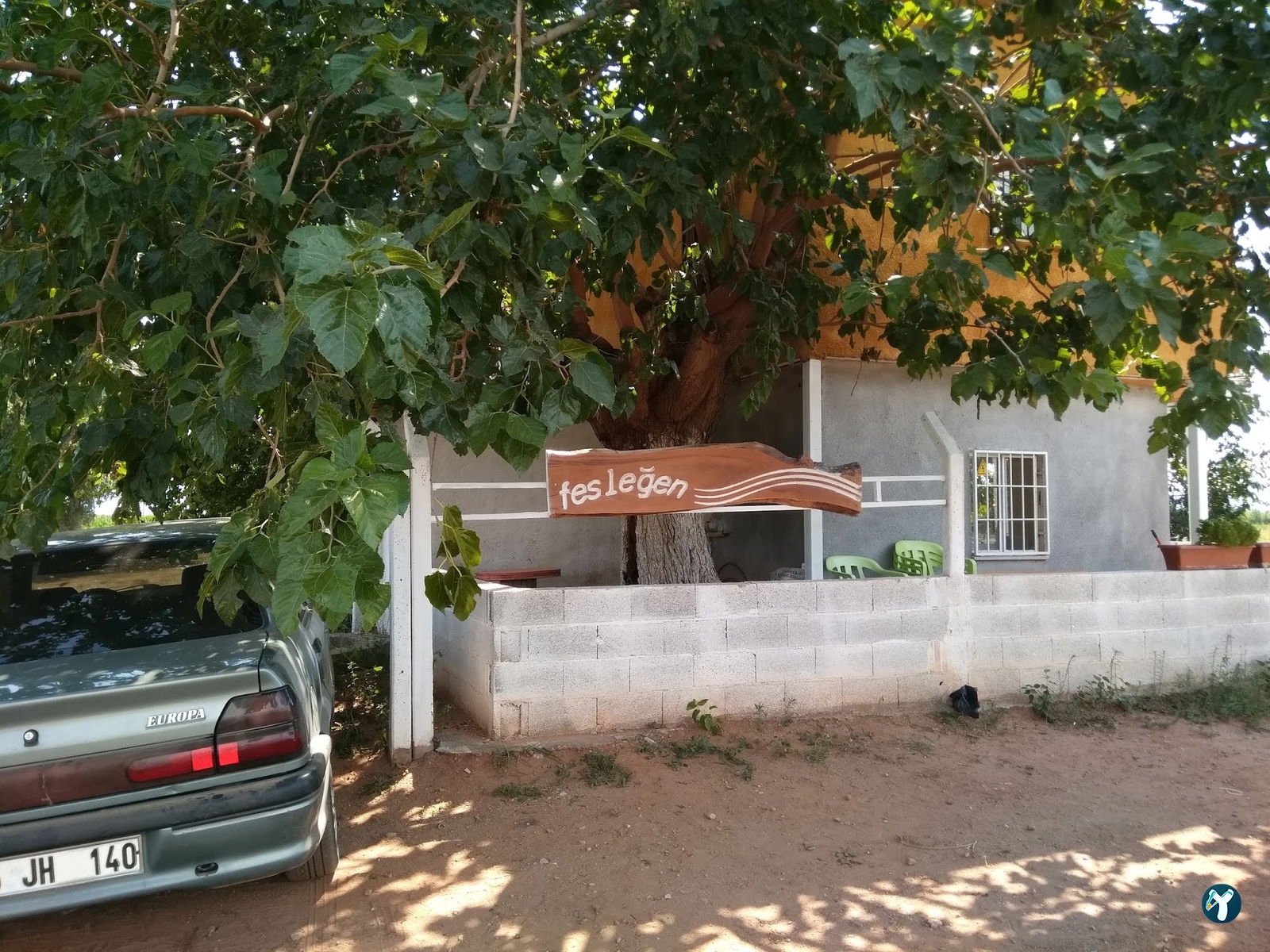 Fesleğen Kır Bahçesi Işıklı Aydin