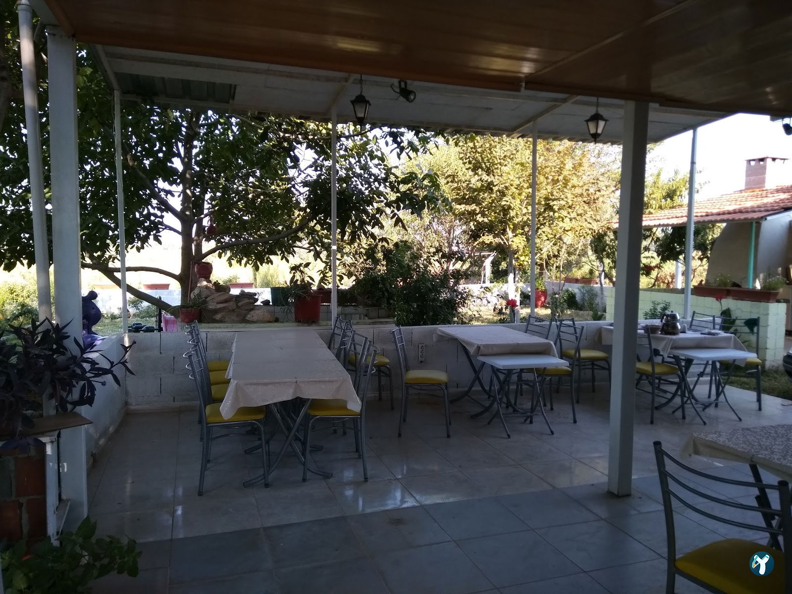Fesleğen Kır Bahçesi Işıklı Aydin