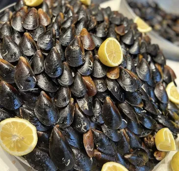 Pala'Nın Lezzet Durağı resimleri