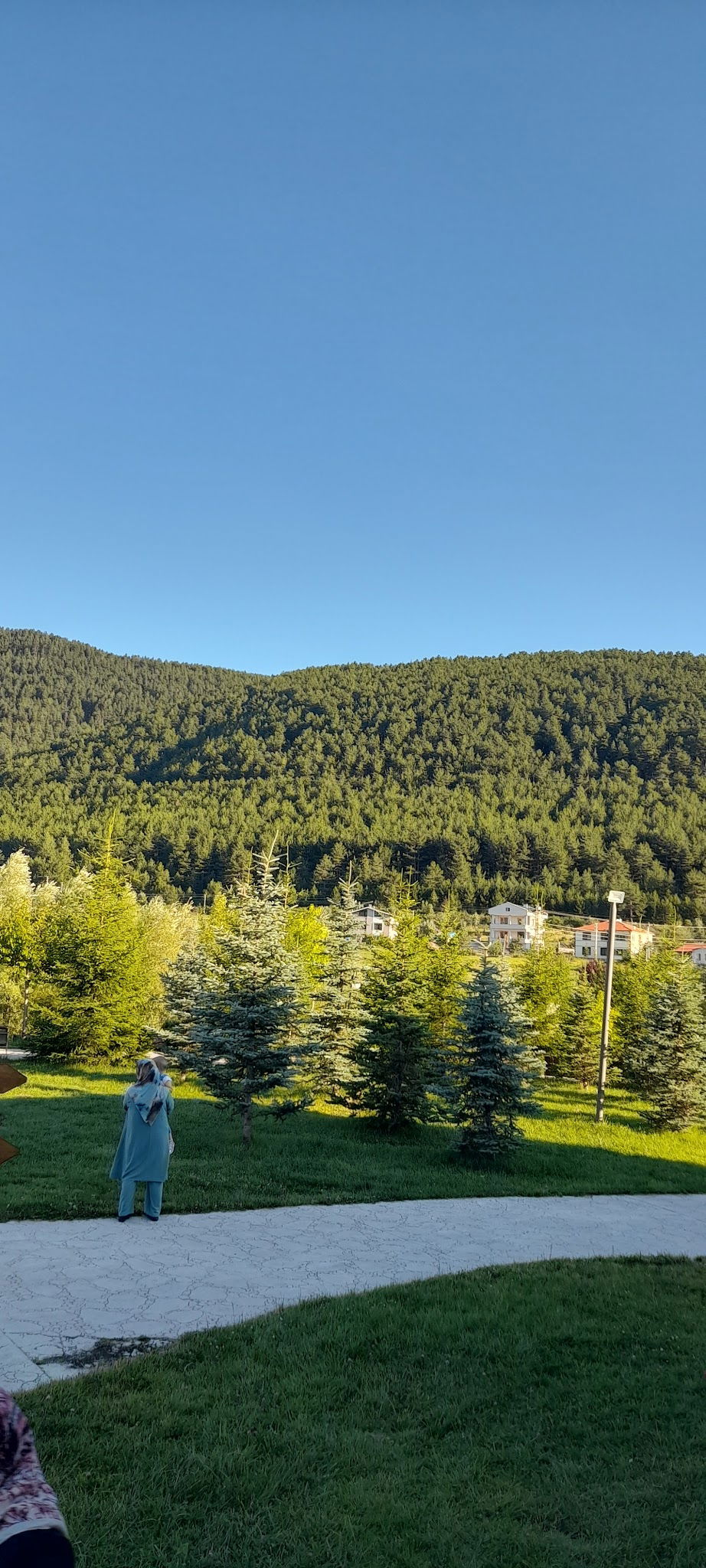 Çamlıdere Gölpark Tesisleri (Düğün, Kahvaltı, Mangal)