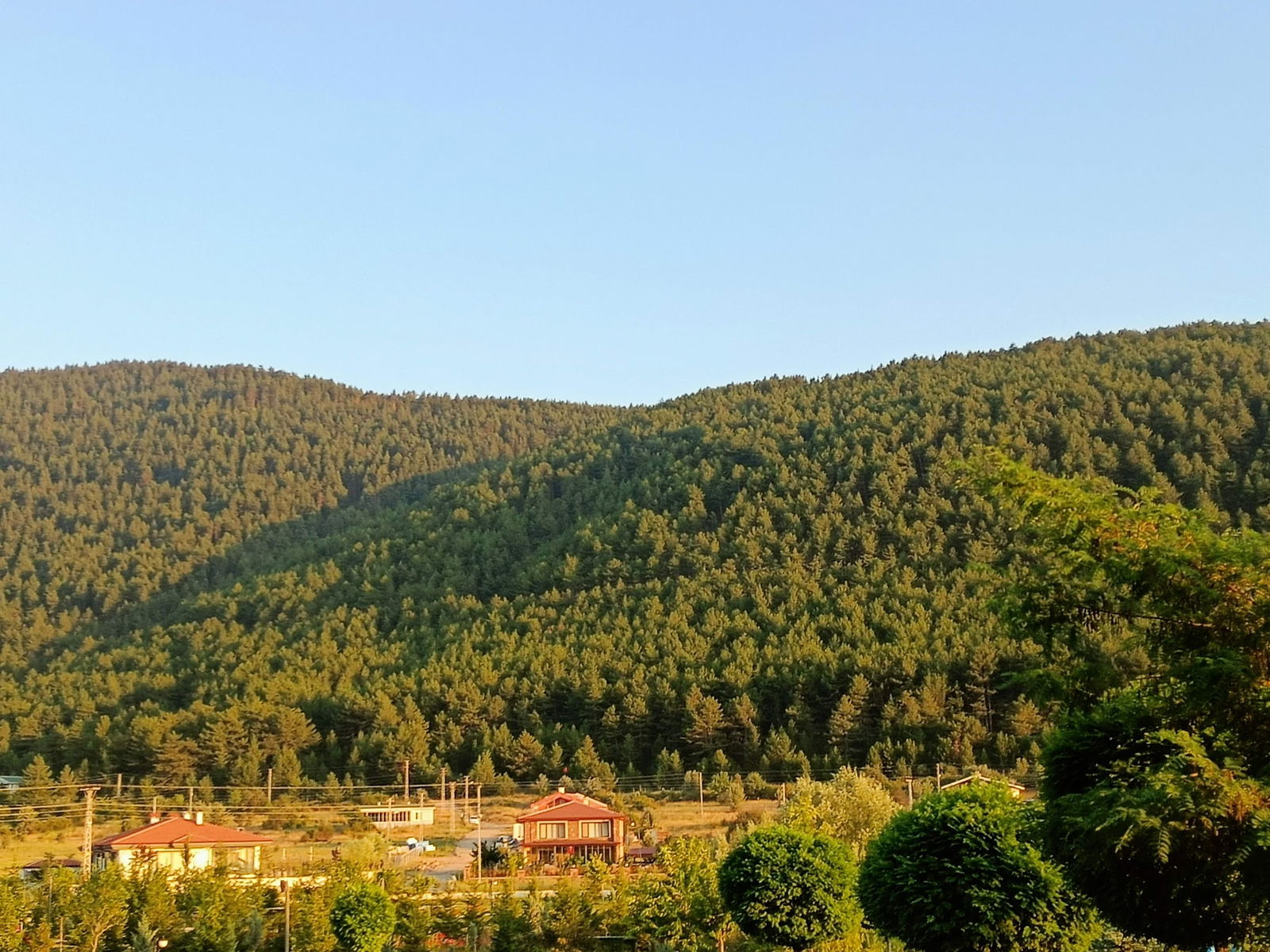 Çamlıdere Gölpark Tesisleri (Düğün, Kahvaltı, Mangal)