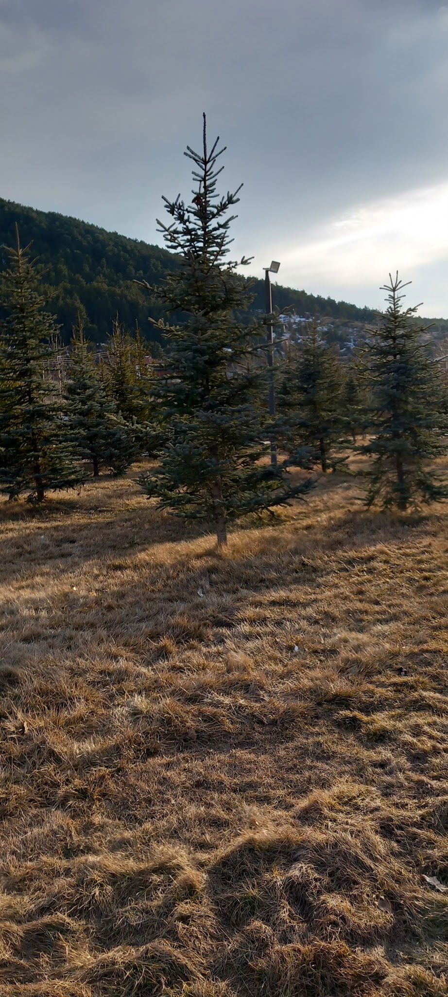 Çamlıdere Gölpark Tesisleri (Düğün, Kahvaltı, Mangal)