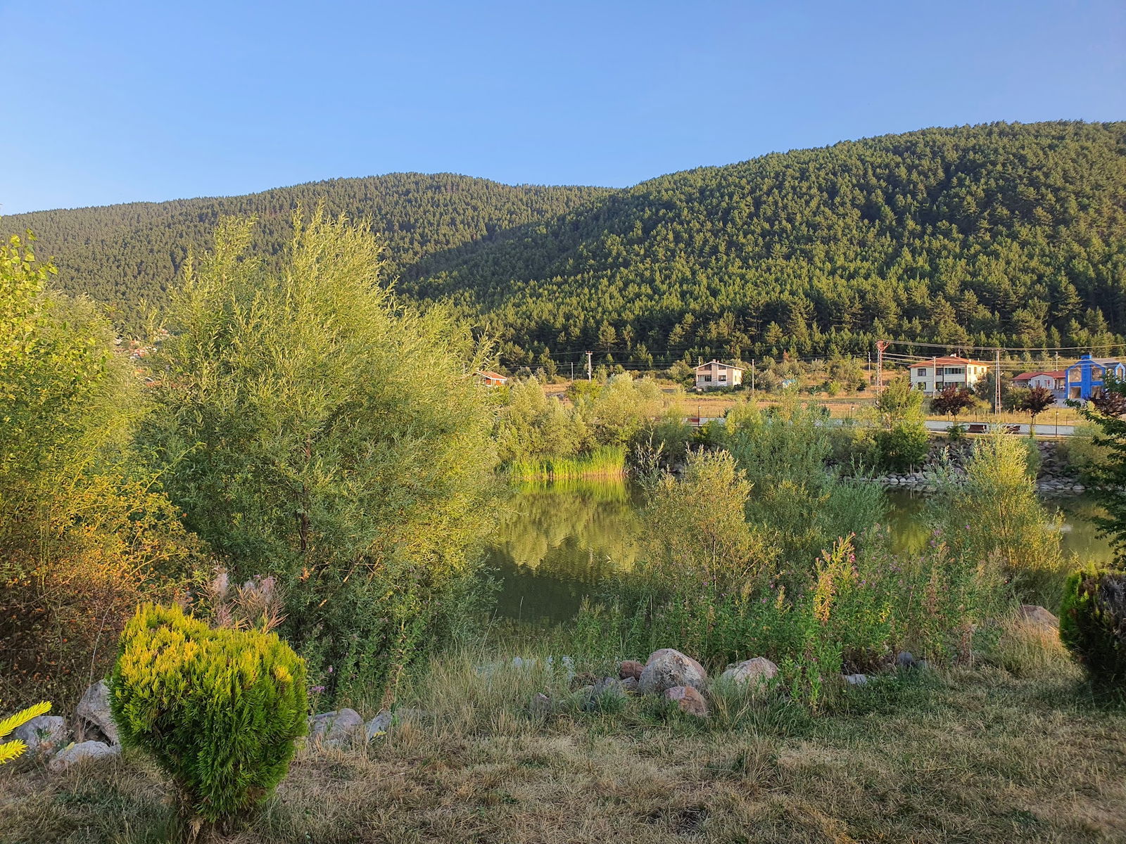 Çamlıdere Gölpark Tesisleri (Düğün, Kahvaltı, Mangal)