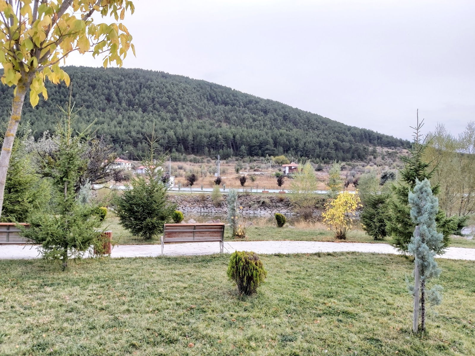 Çamlıdere Gölpark Tesisleri (Düğün, Kahvaltı, Mangal)