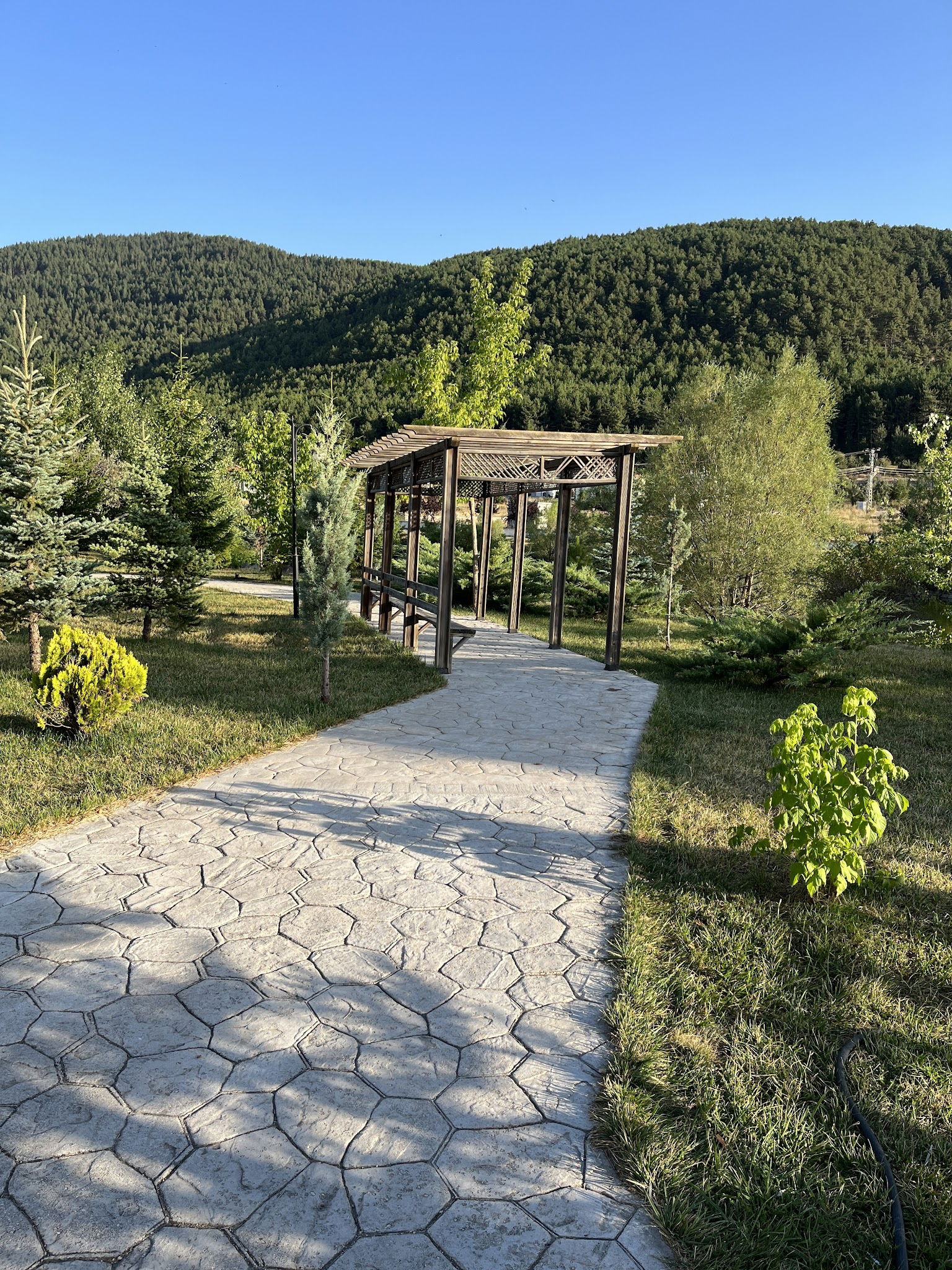 Çamlıdere Gölpark Tesisleri (Düğün, Kahvaltı, Mangal)